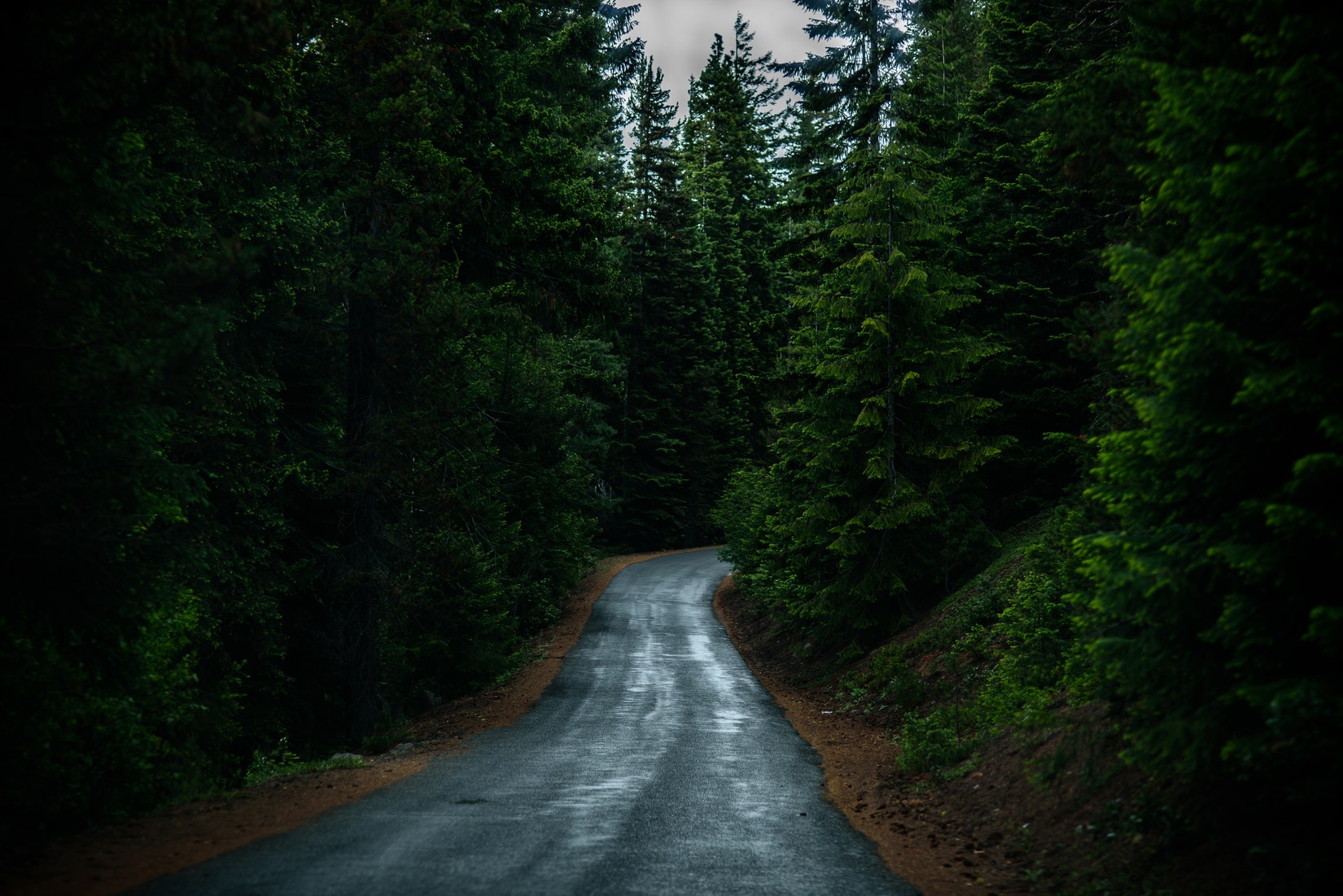 road4.jpeg