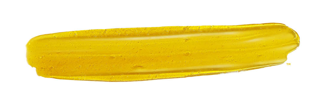 sLA-homepage-image-11292018-notext.jpg