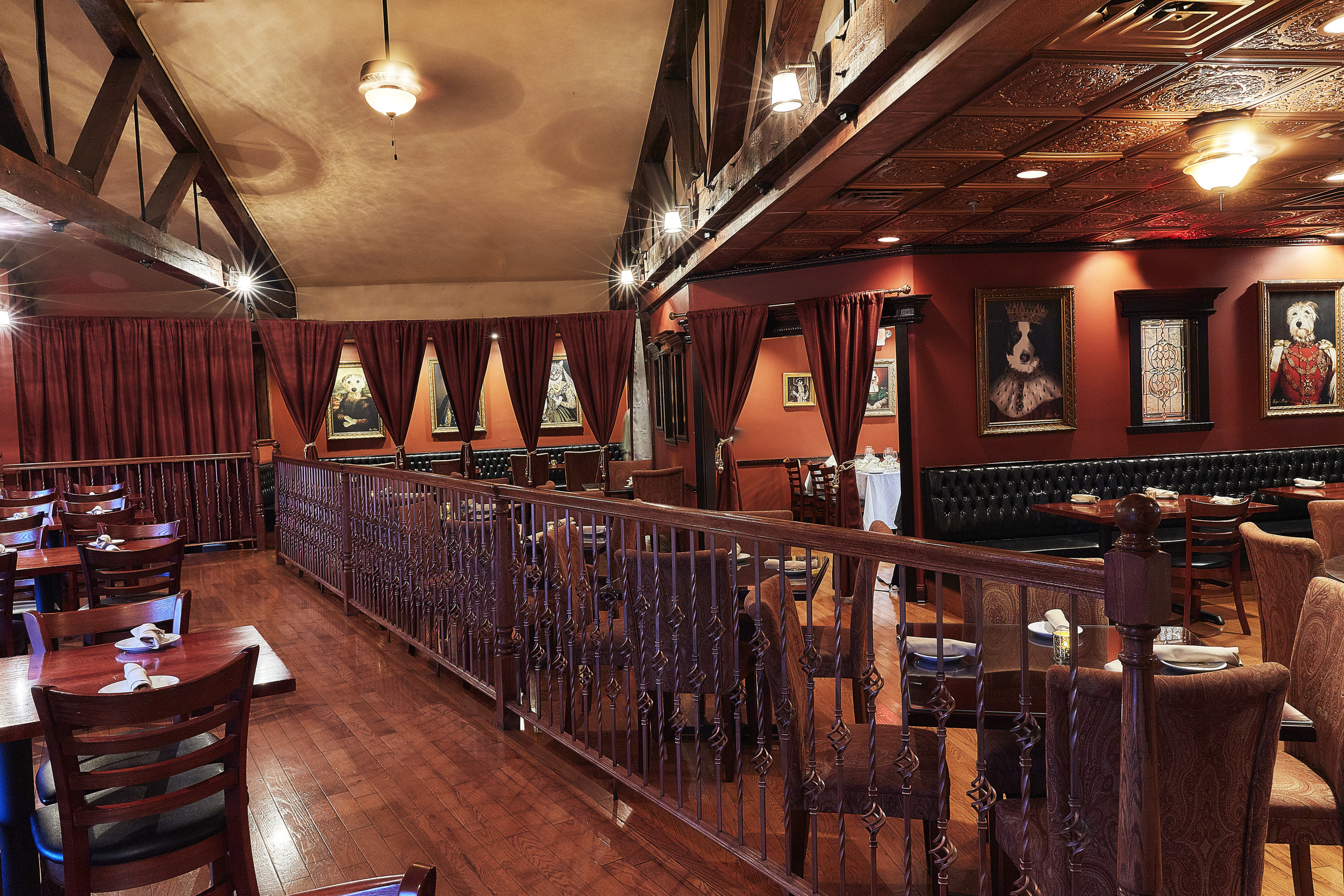 official service dog vest