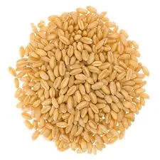 White Wheat