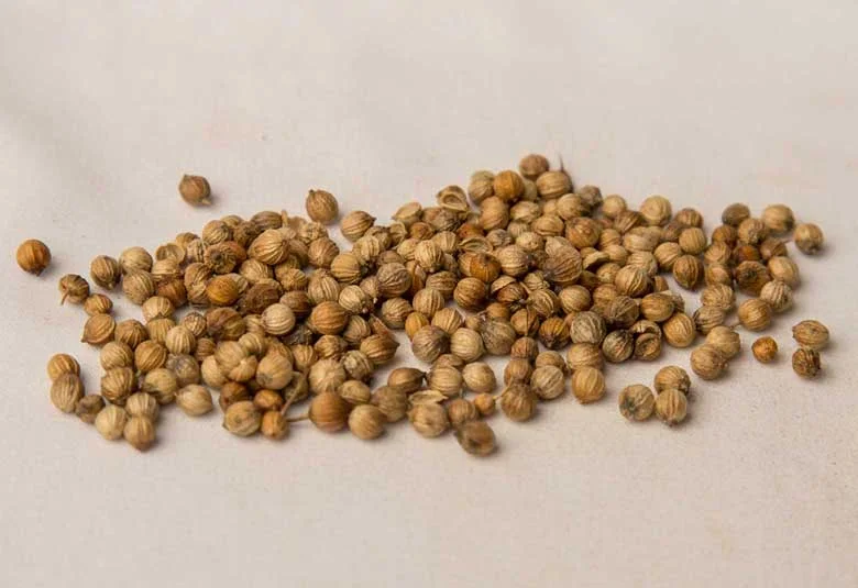 Coriander Seed