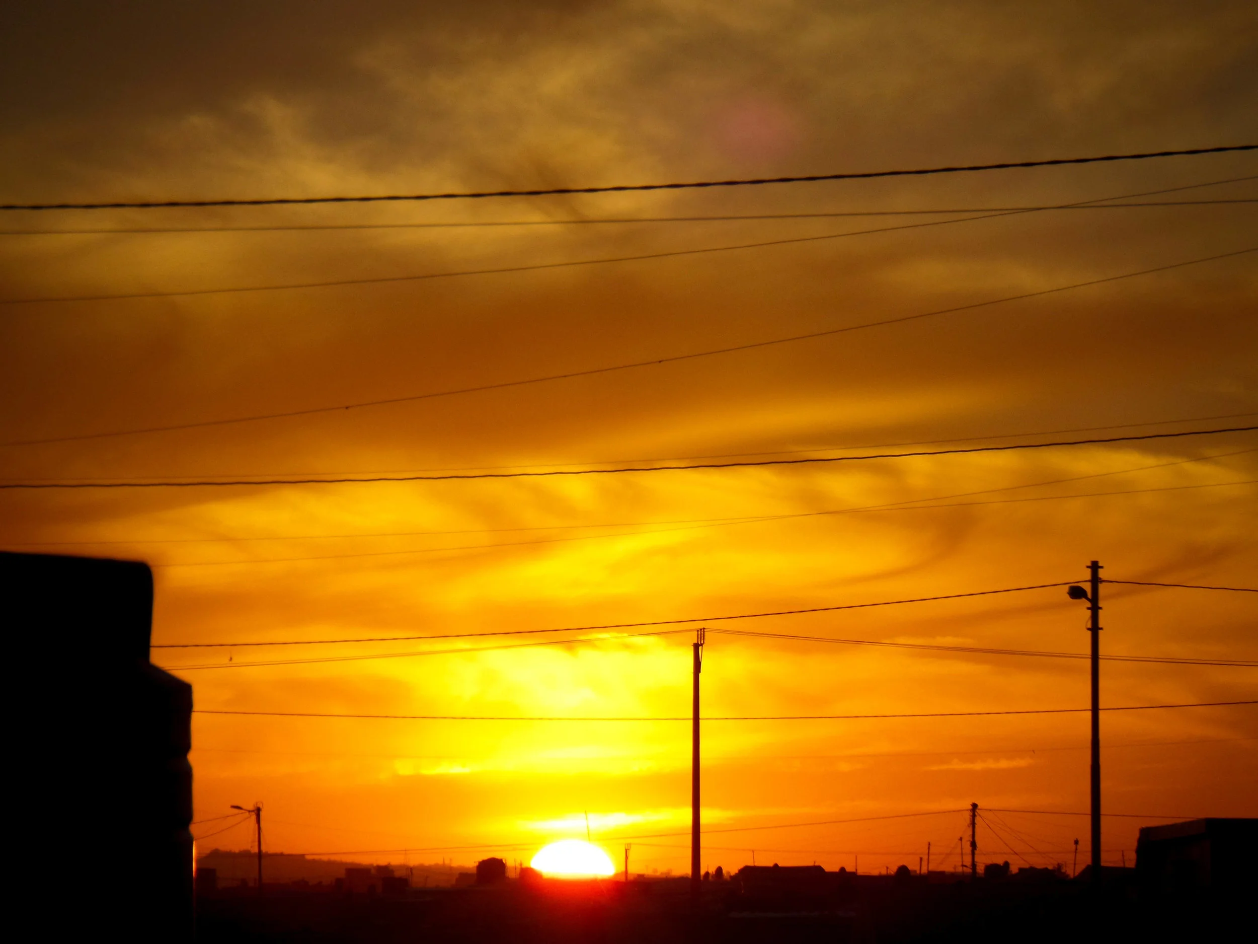 asma.sunset.jpg