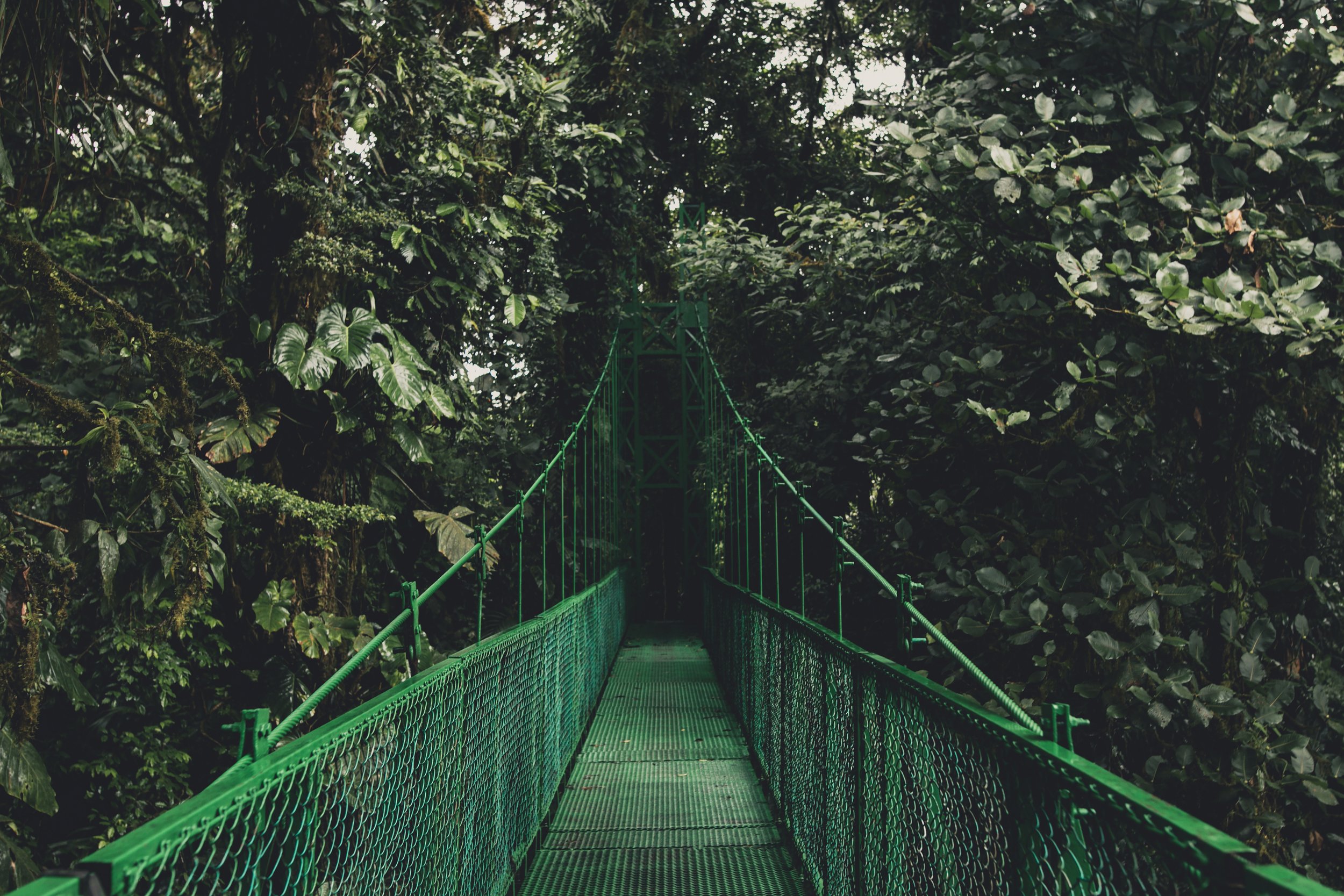 isabella-juskova-260419-unsplash.jpg
