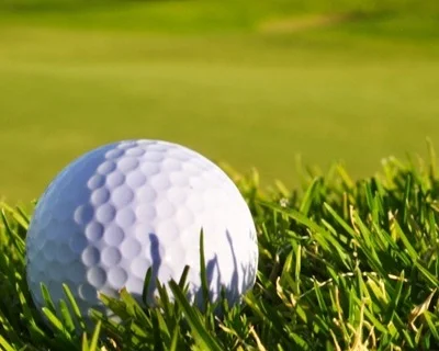 golf%2B2.jpg