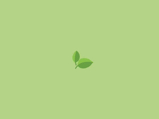 plant.png
