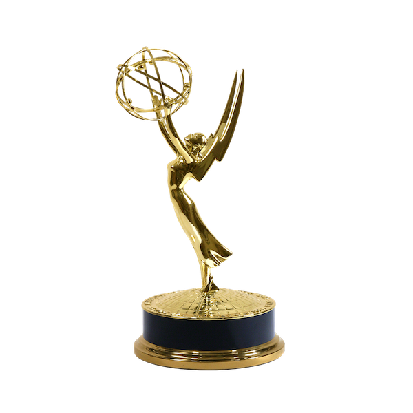 2013 New York Emmy Award