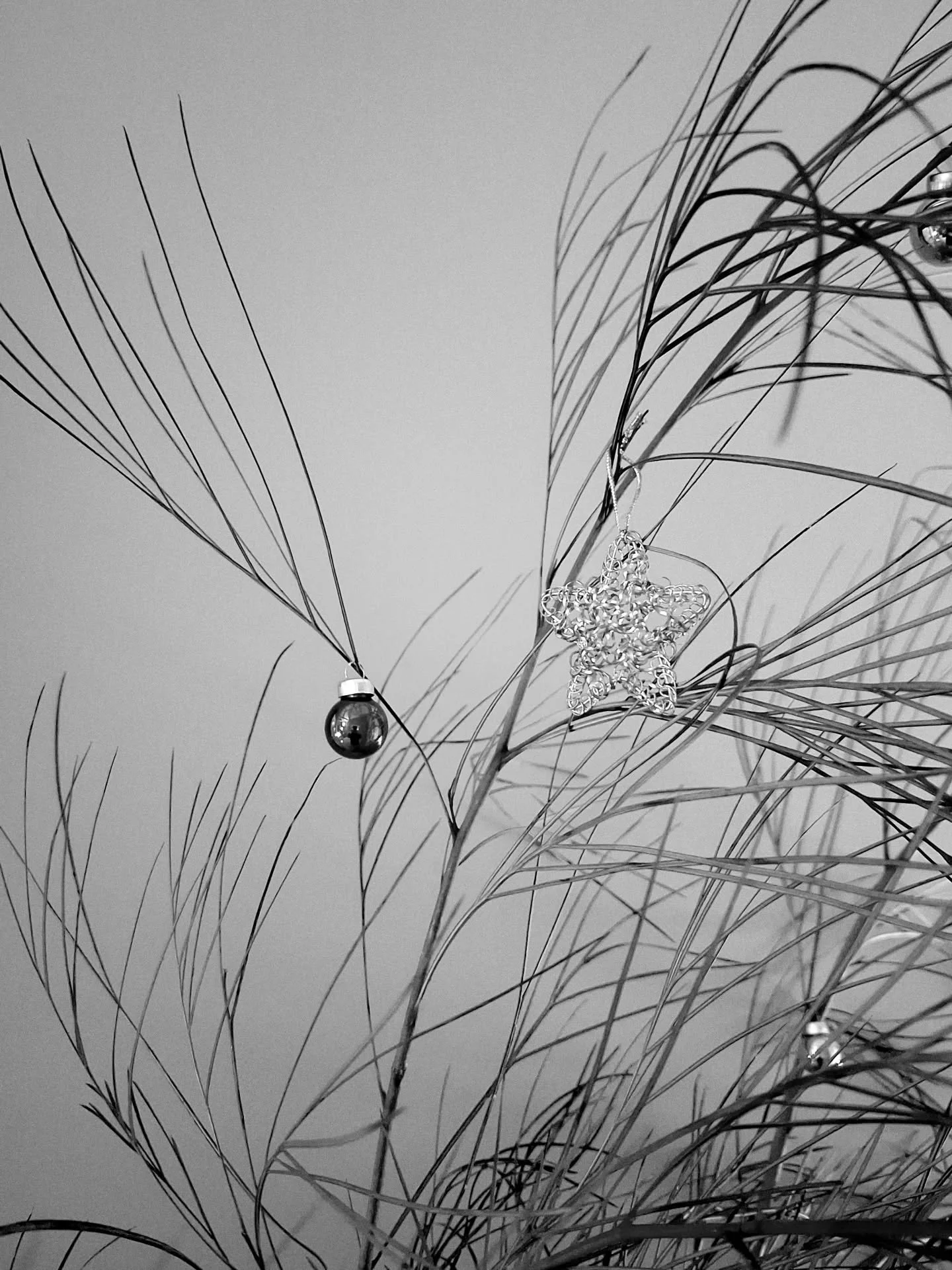 Uma &eacute;poca para celebrar. Um novo ano para criar significado, paz e encontro humano.
.
#monicasantosstudio #portuguesedesign
#productdesign #productdevelopment #sourcingagent