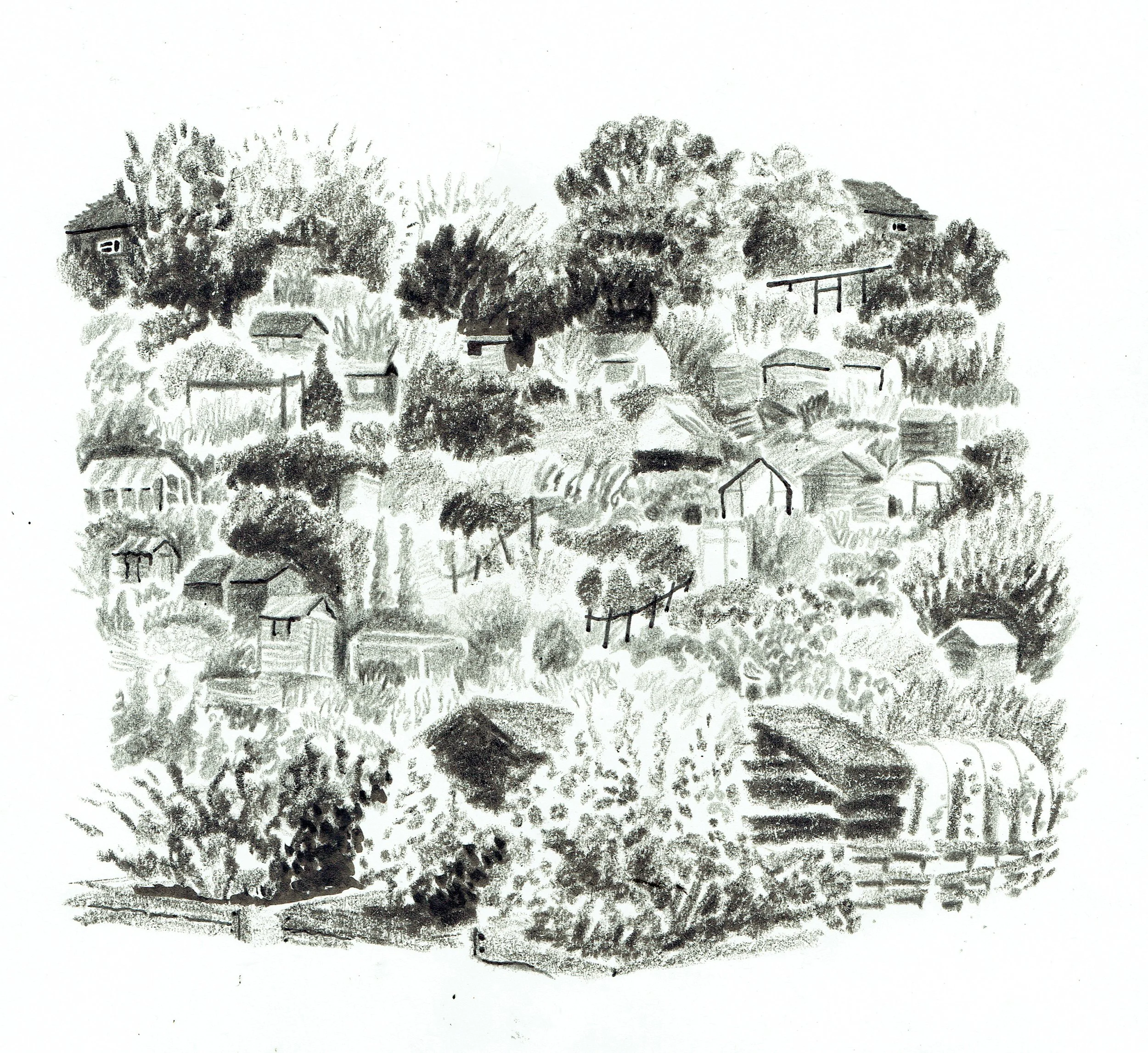 allotment scan 2.jpg