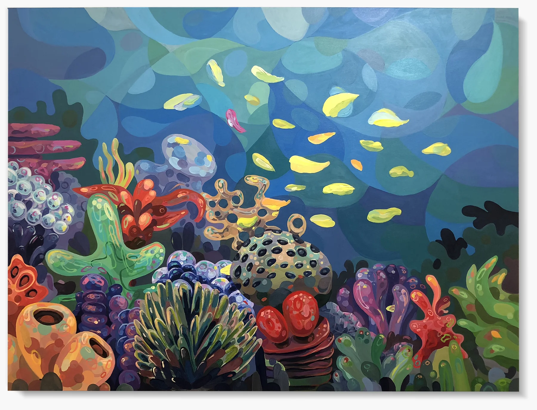 The Aquaria
