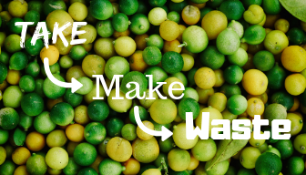 Takemake waste.png