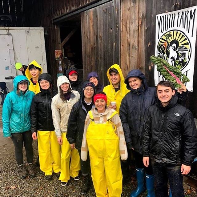 Members of CSC braved the cold and rain last weekend to volunteer at the @youthfarmproject as part of Into the Streets 2018. The Youth Farm Project connects youth to the land and to each other, teaches sustainable farming practices, and engages young