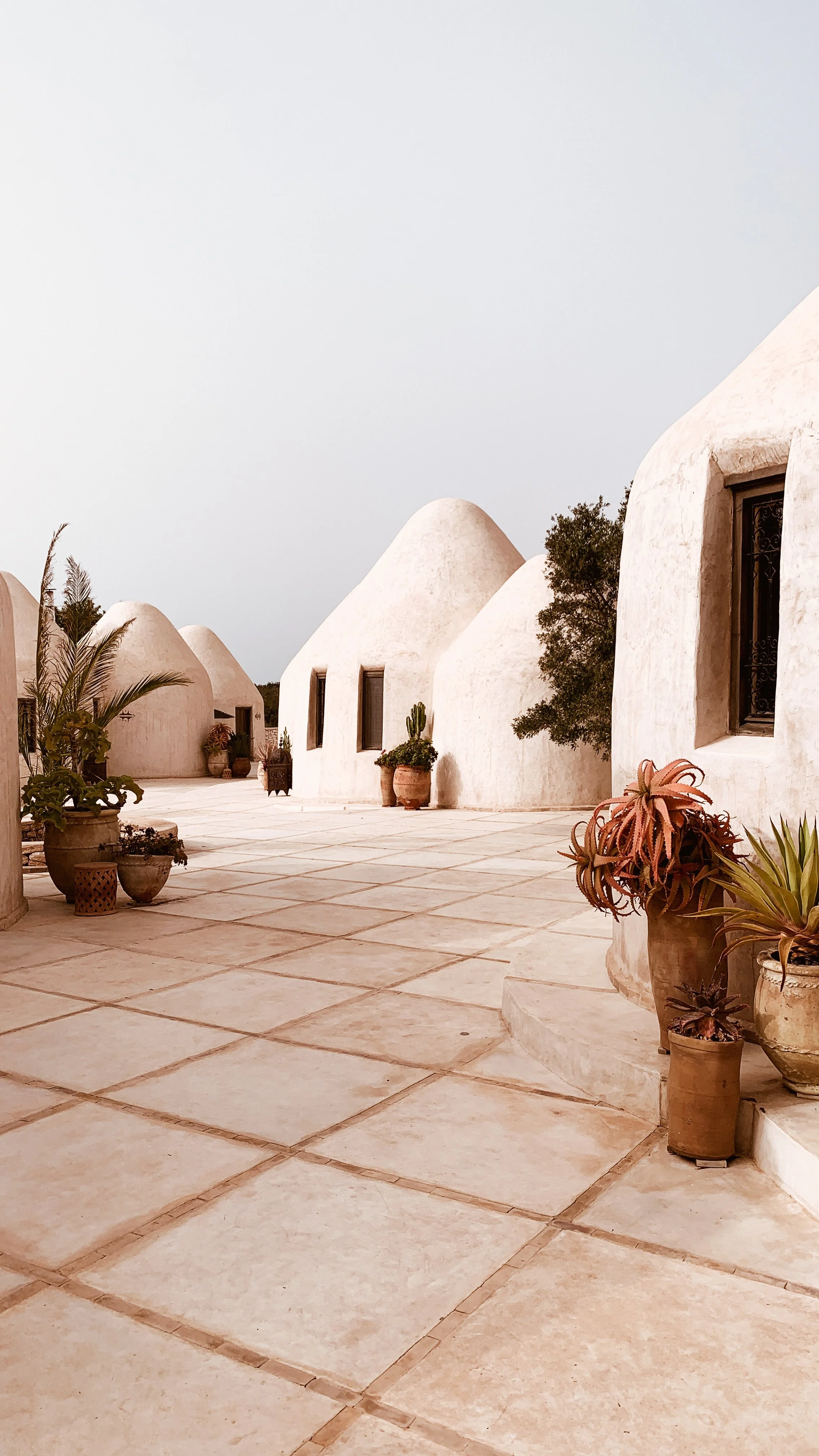 Morocco: 28-Jun – 5-Jul 2026 Trip