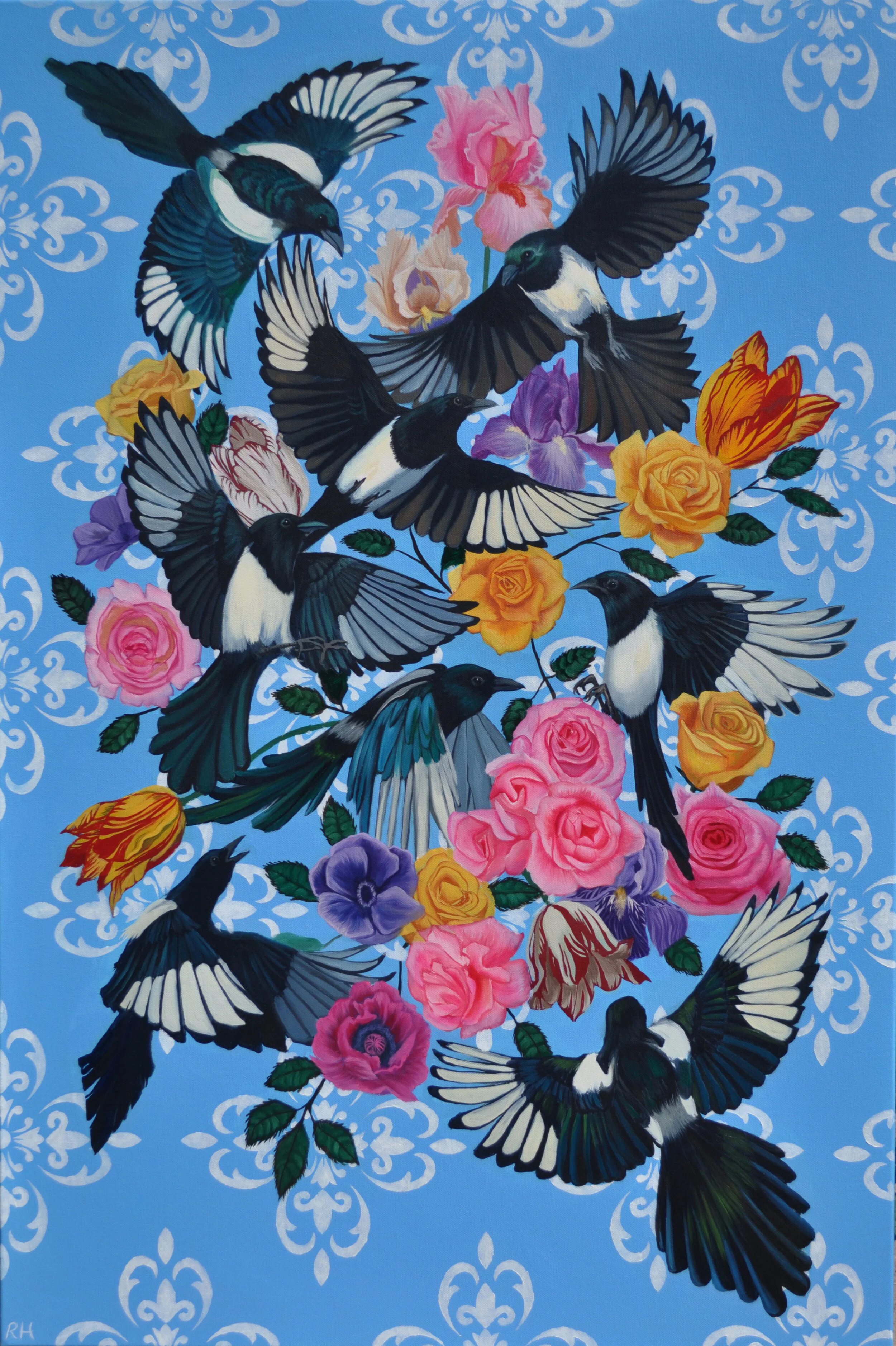 Blue Magpies