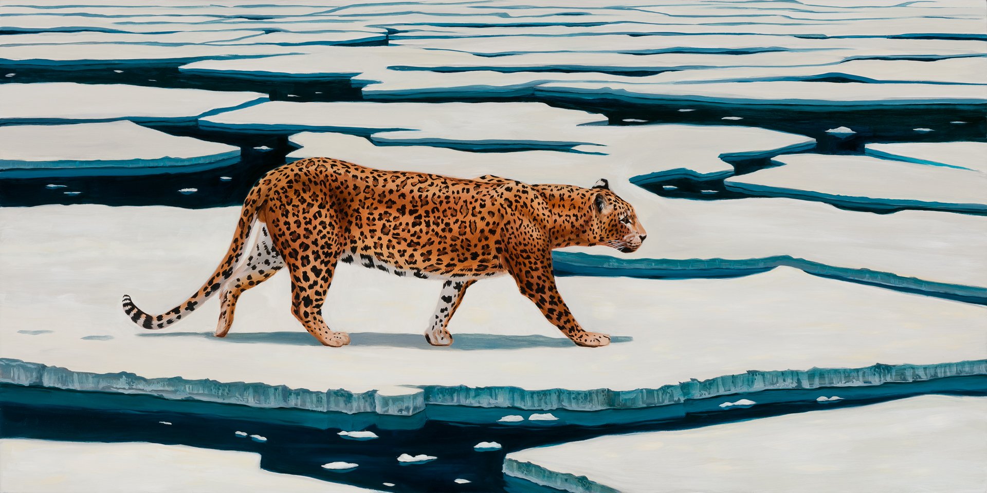 Leopard on Ice