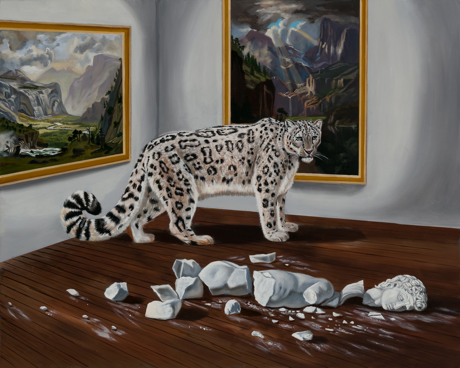 Snow Leopard Offering Curatorial Feedback
