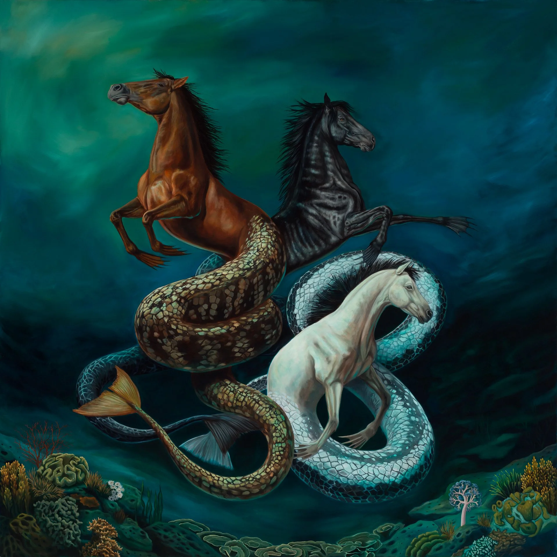 Hippocampi