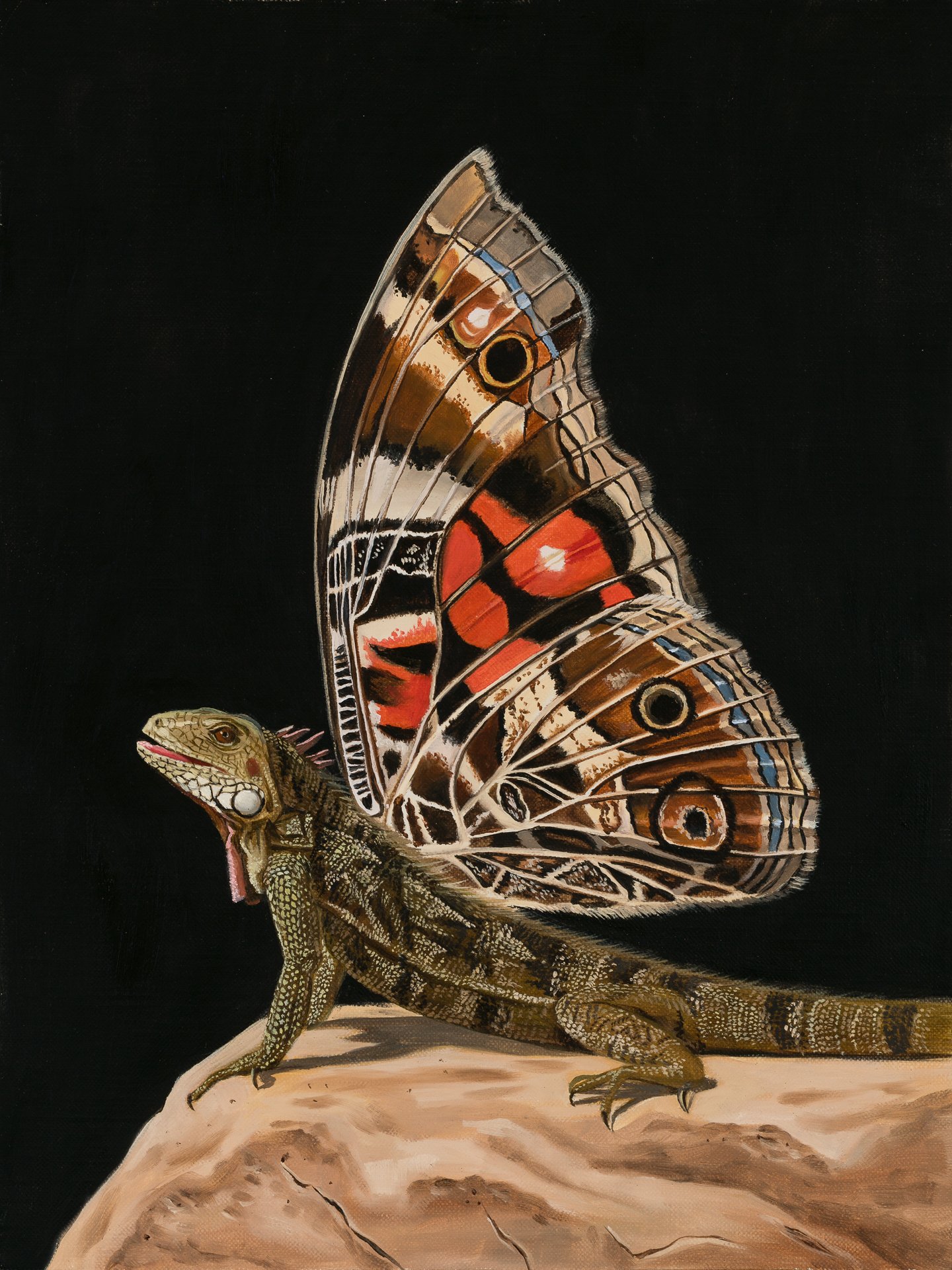 Iguana-moth