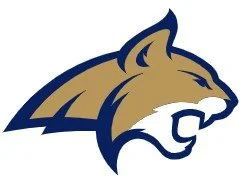 Screenshot 2026-01-18 214550.jpg