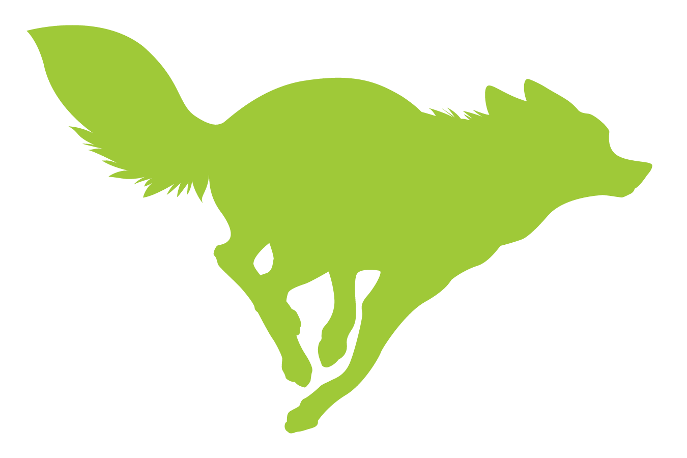 Bozeman Track Club, image size:1350x900