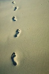 712097_some_small_steps_for_the_man___2.jpg