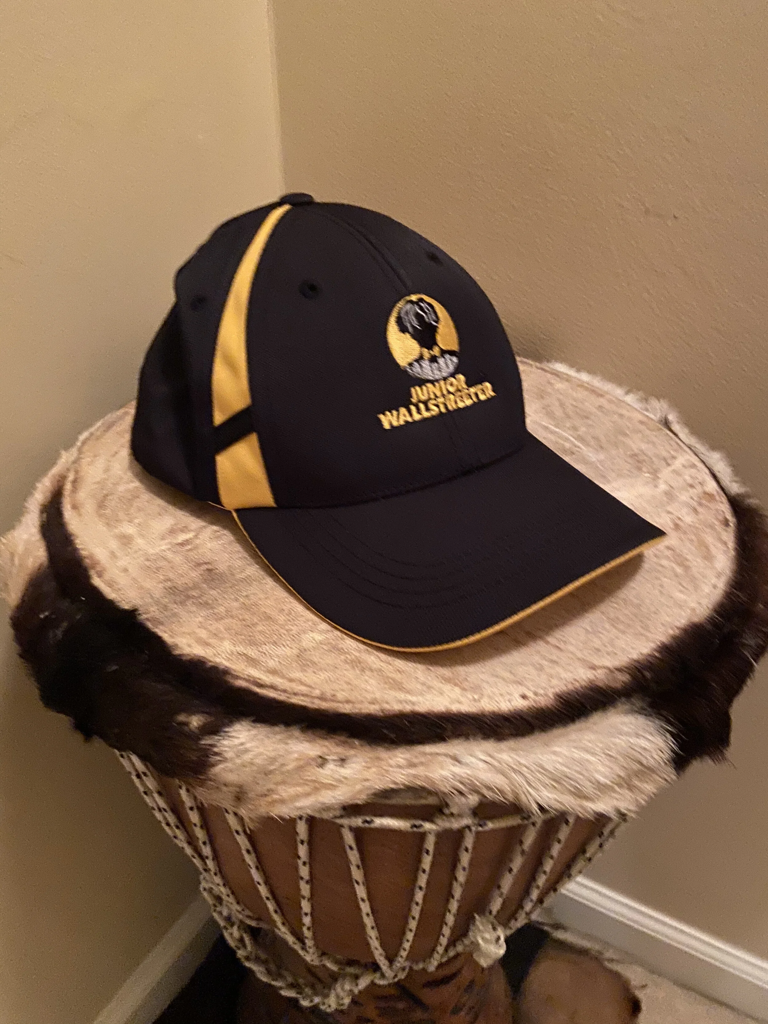 Black/African American investment clubs; financial literacy products