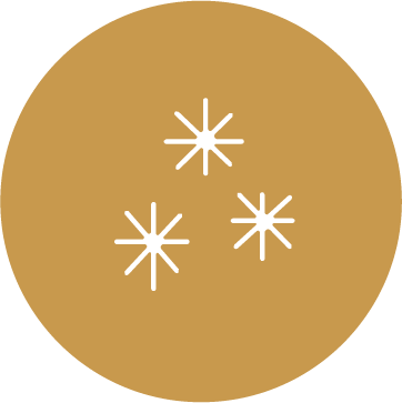 Asset 3.png