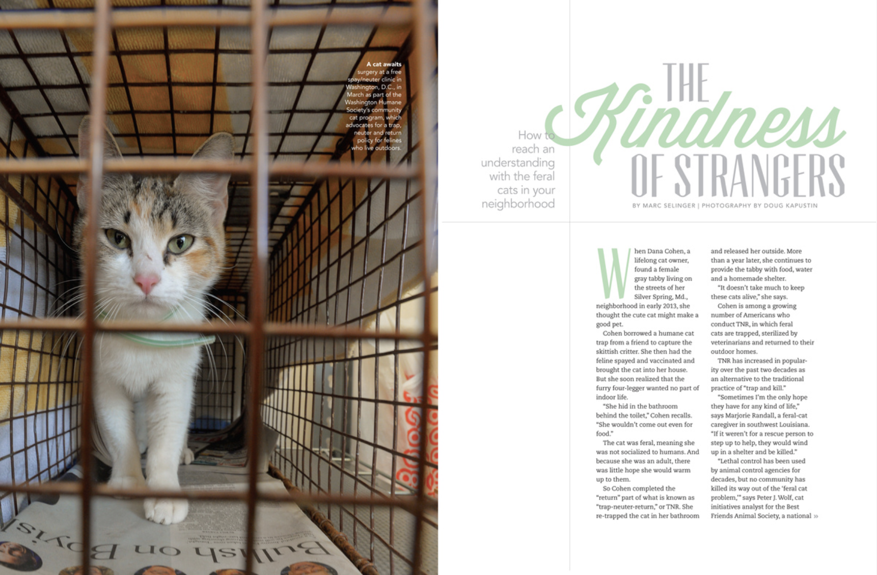 Screenshot 2026-02-20 at 10.31.54 AM.png