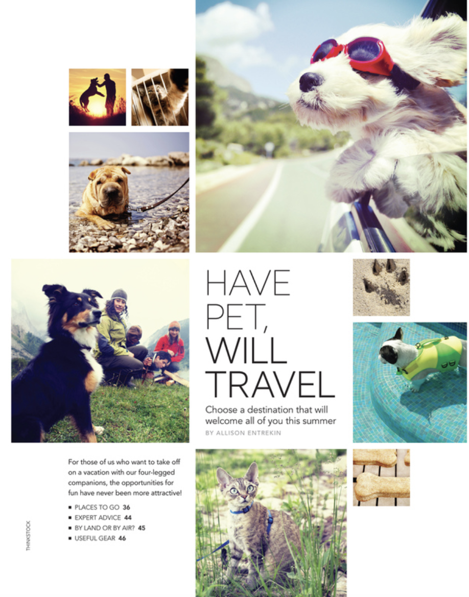 Screenshot 2026-02-20 at 10.36.18 AM.png