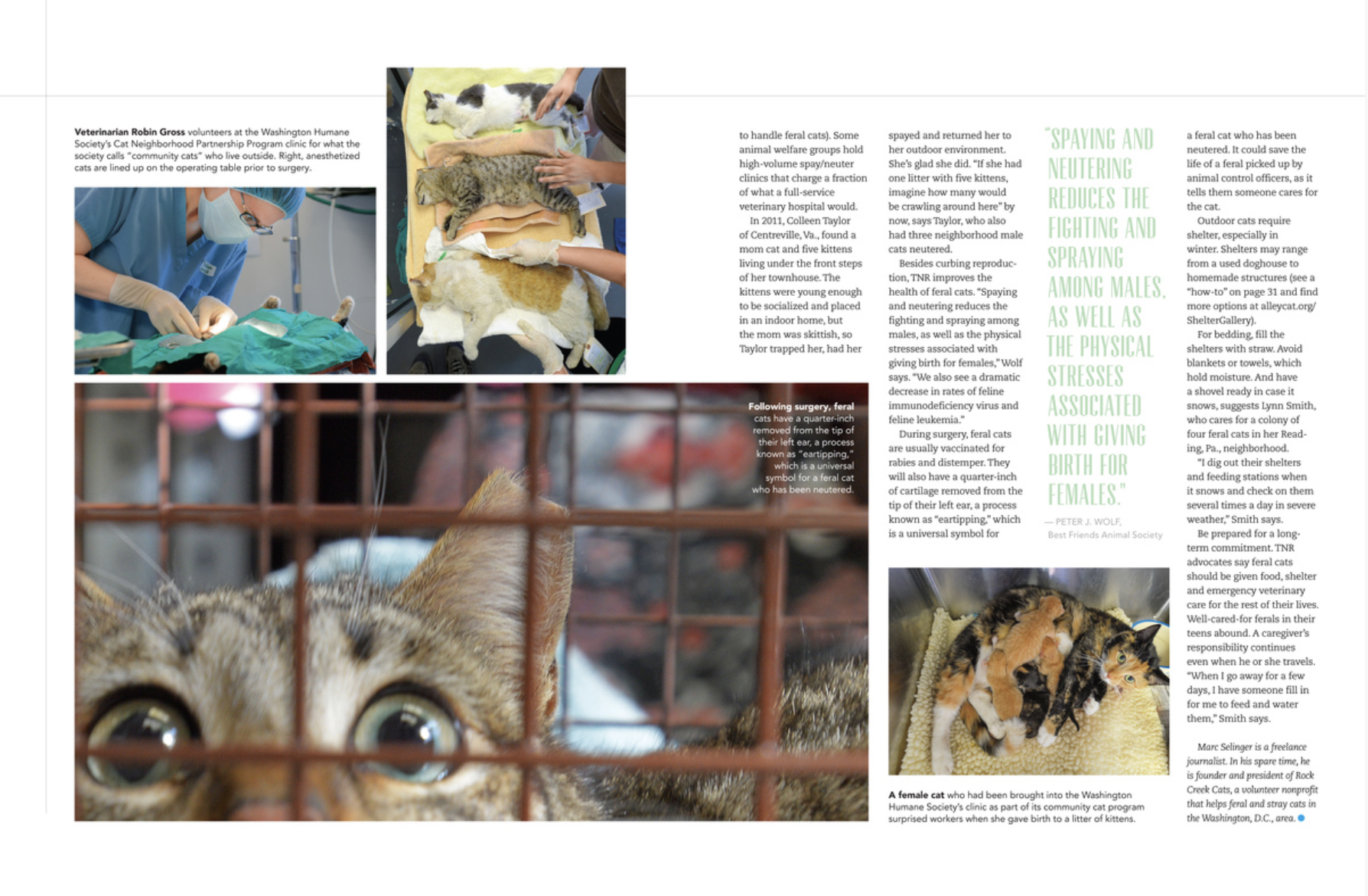 Screenshot 2026-02-20 at 10.32.14 AM.png