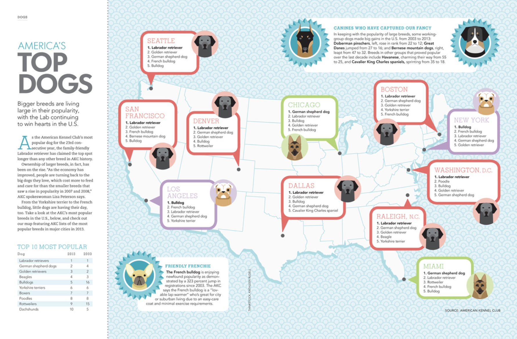 Screenshot 2026-02-20 at 10.32.23 AM.png