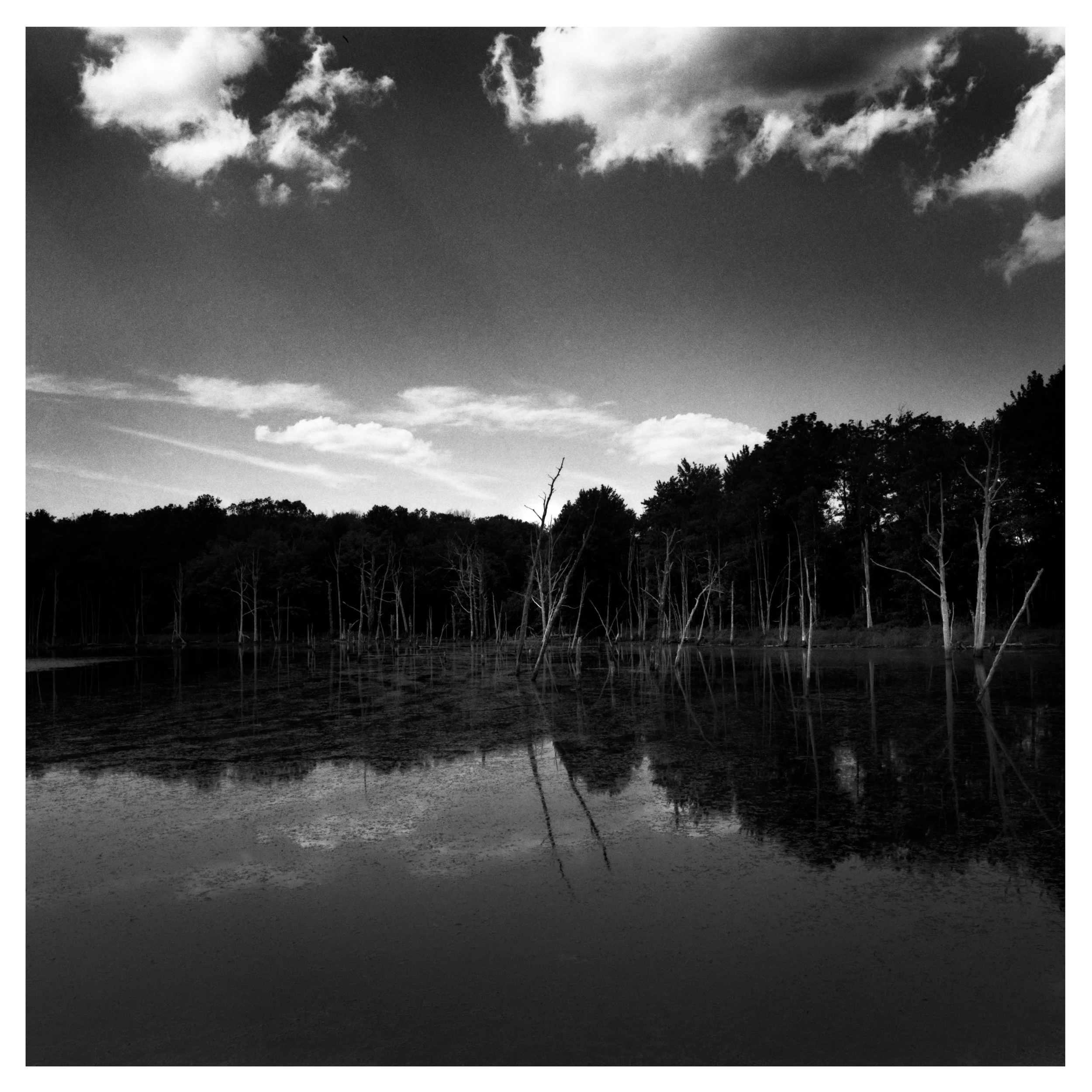 FEW-DAM-Pocono-2007.jpg