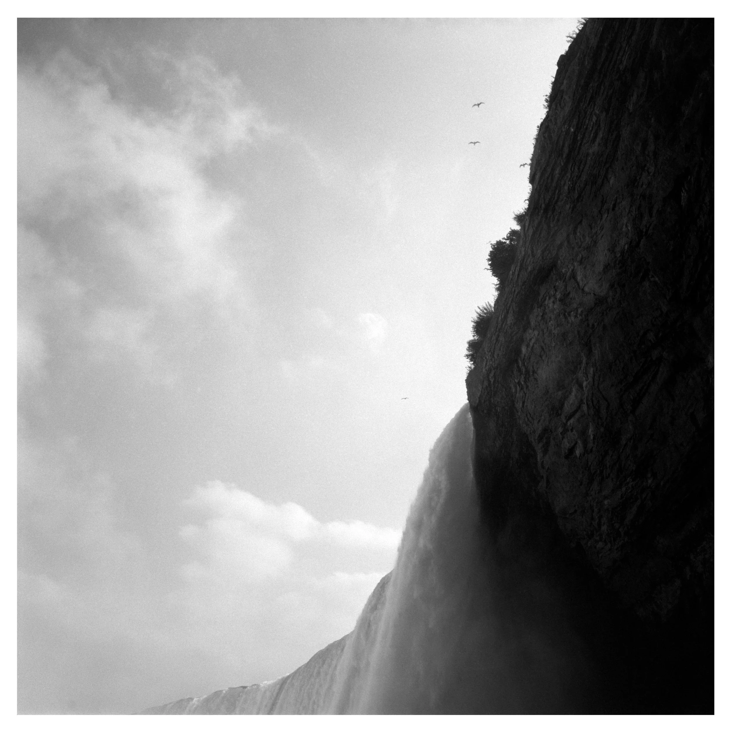 niagara-lookup-birds.jpg