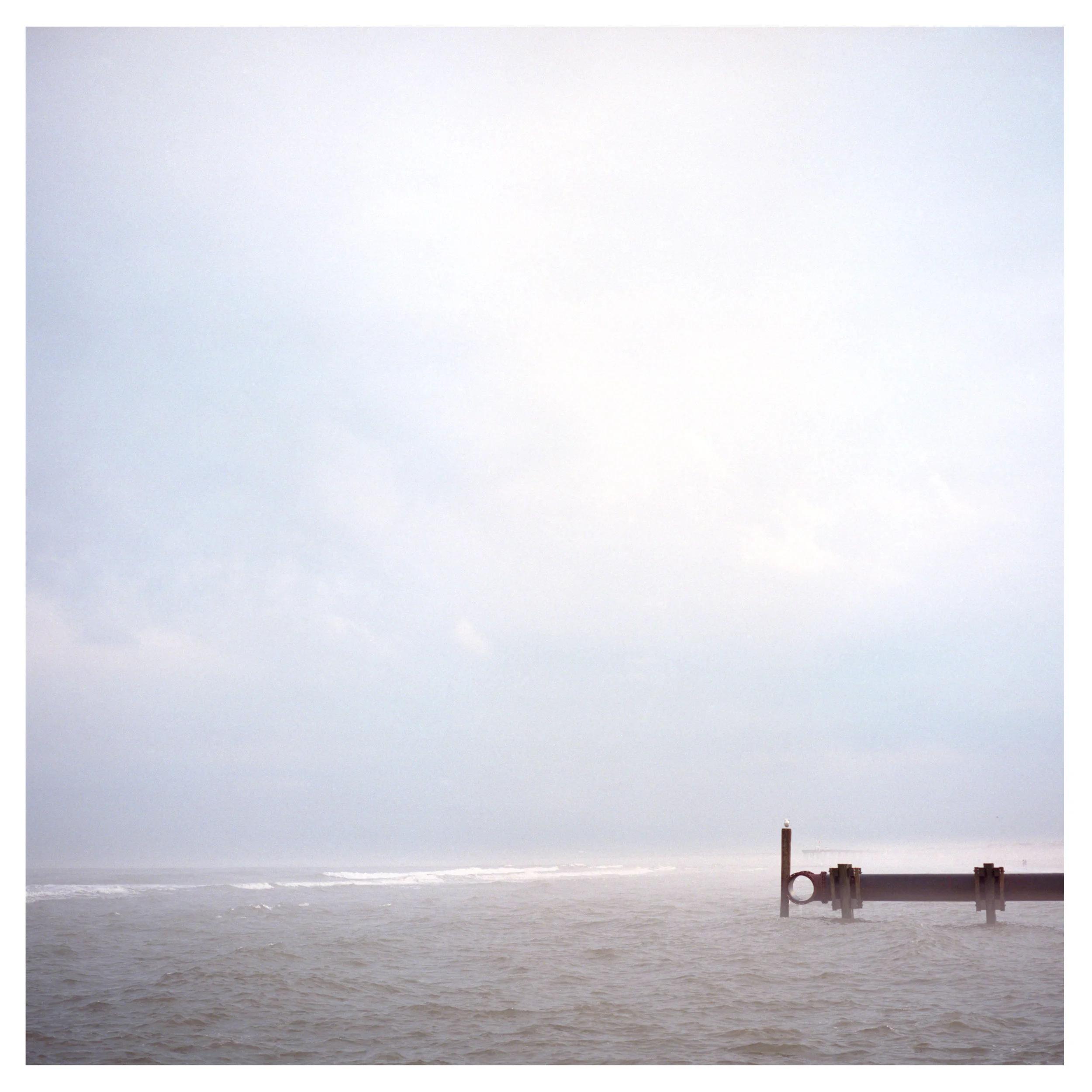 Foggy-OC-Pipe&Seagull-2018.jpg