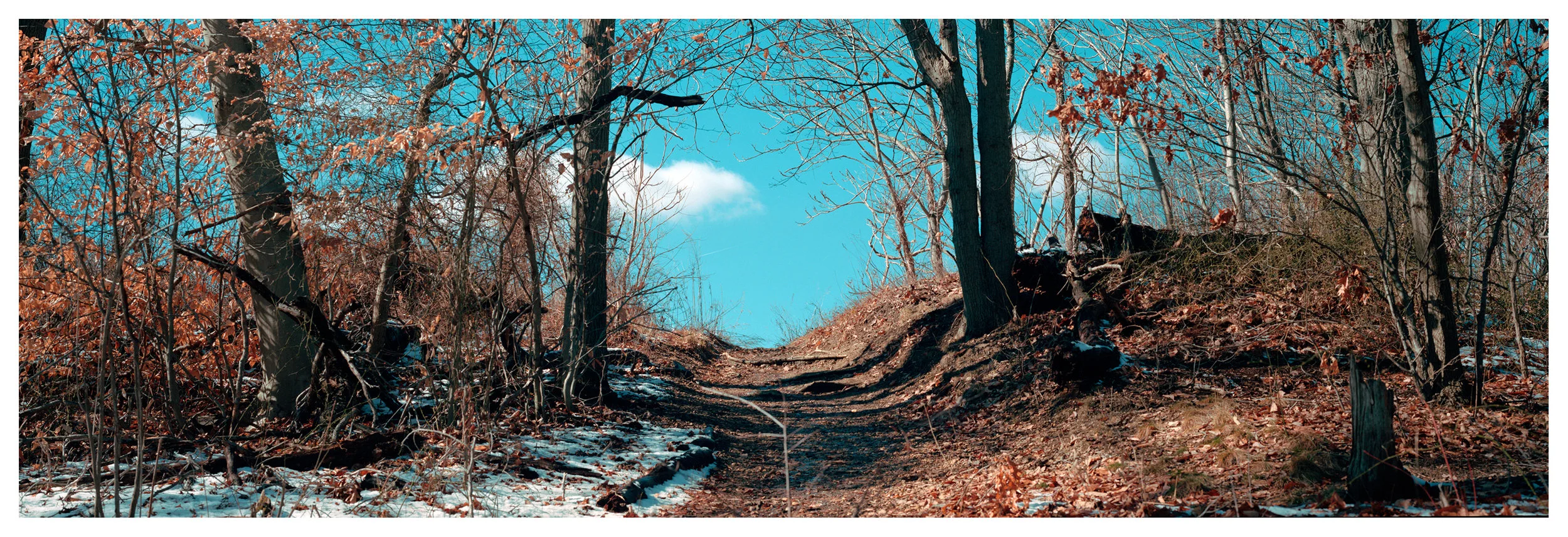 6x17-Path.jpg