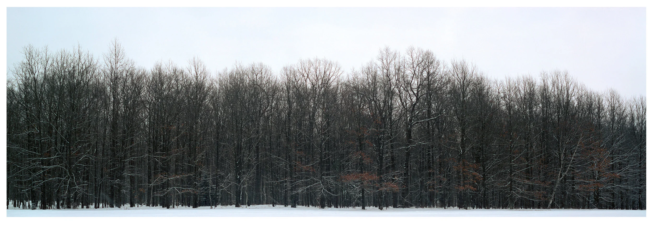 Poconos-Field-6x17.jpg
