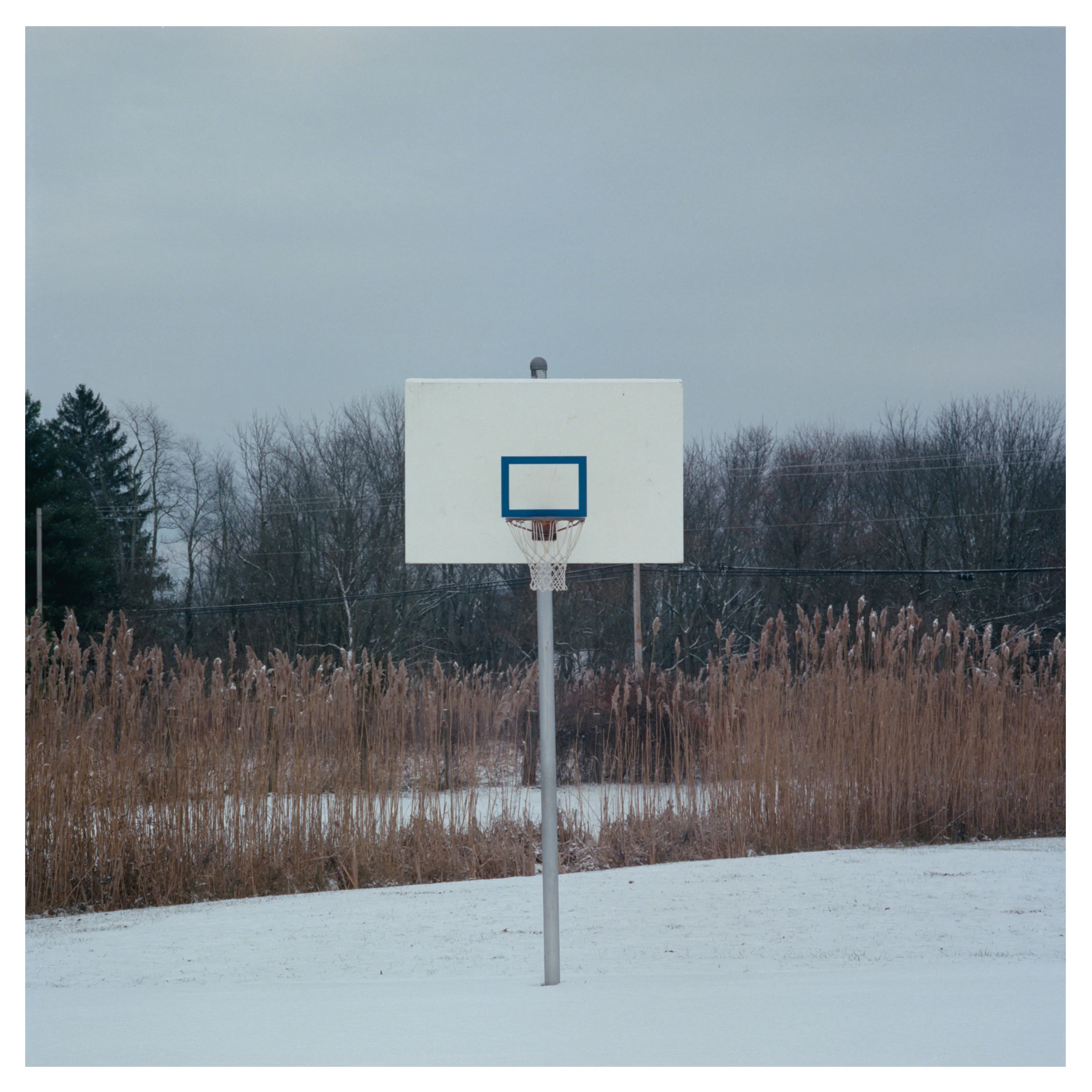 BasketballNet.jpg