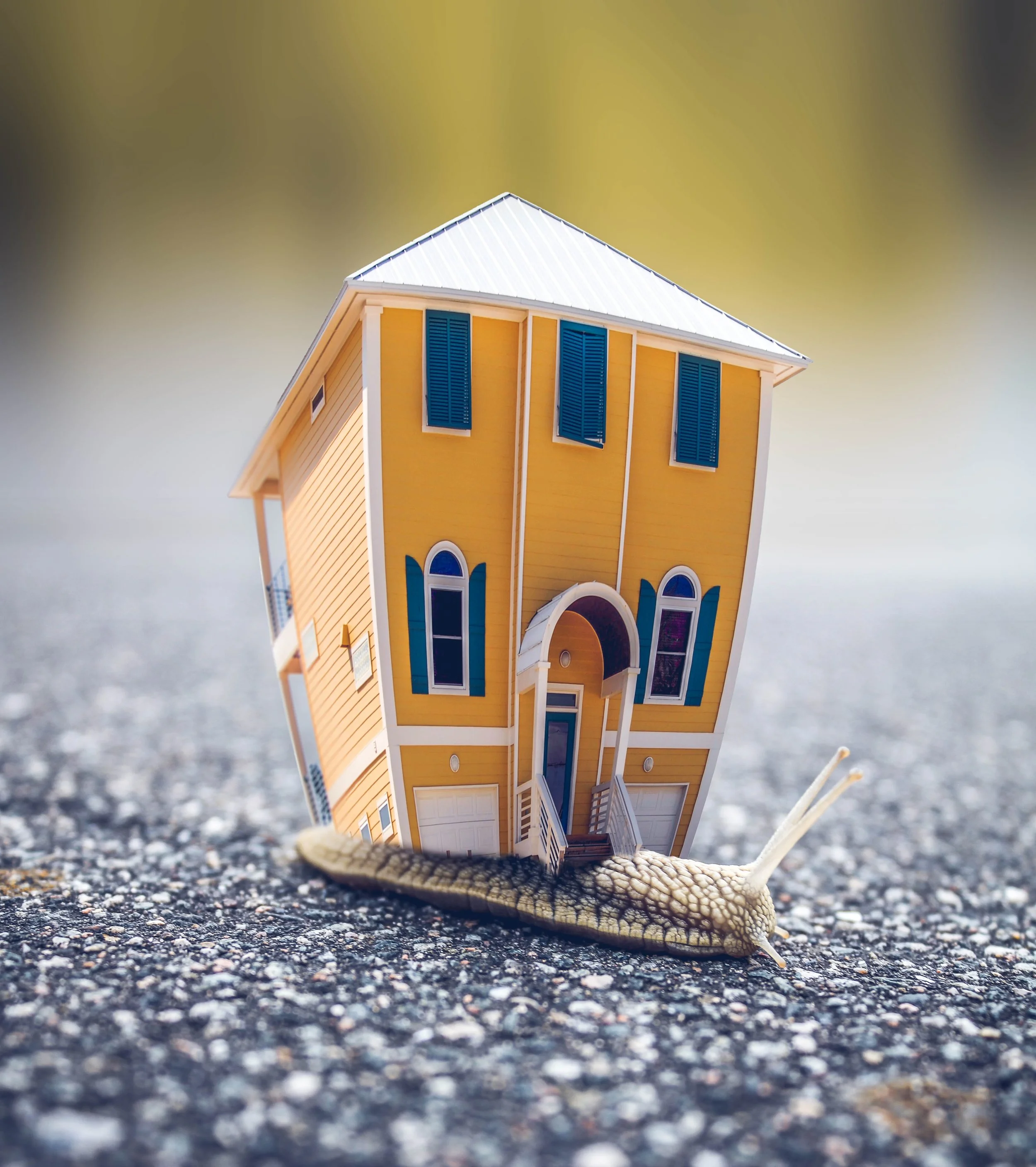 Plan to Buy or Sell a Home This Spring? Start Preparing Now!