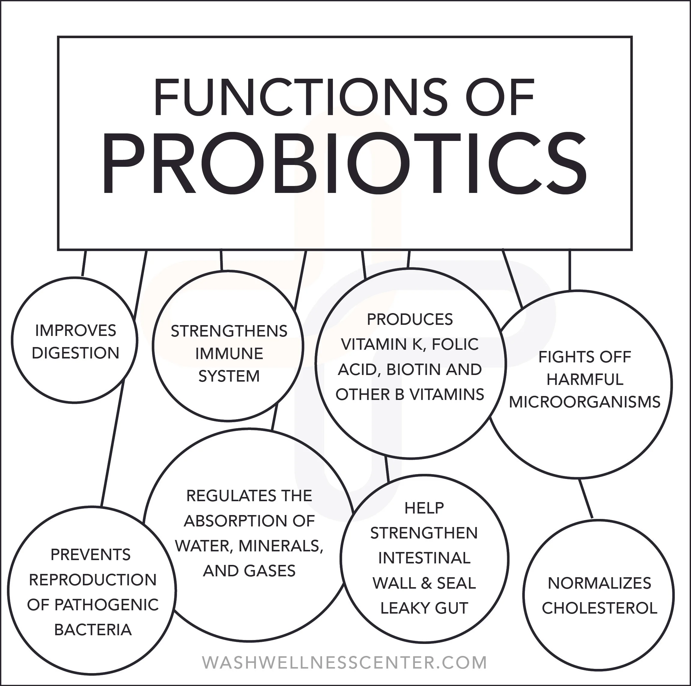 Functions+of+Probiotics.jpg