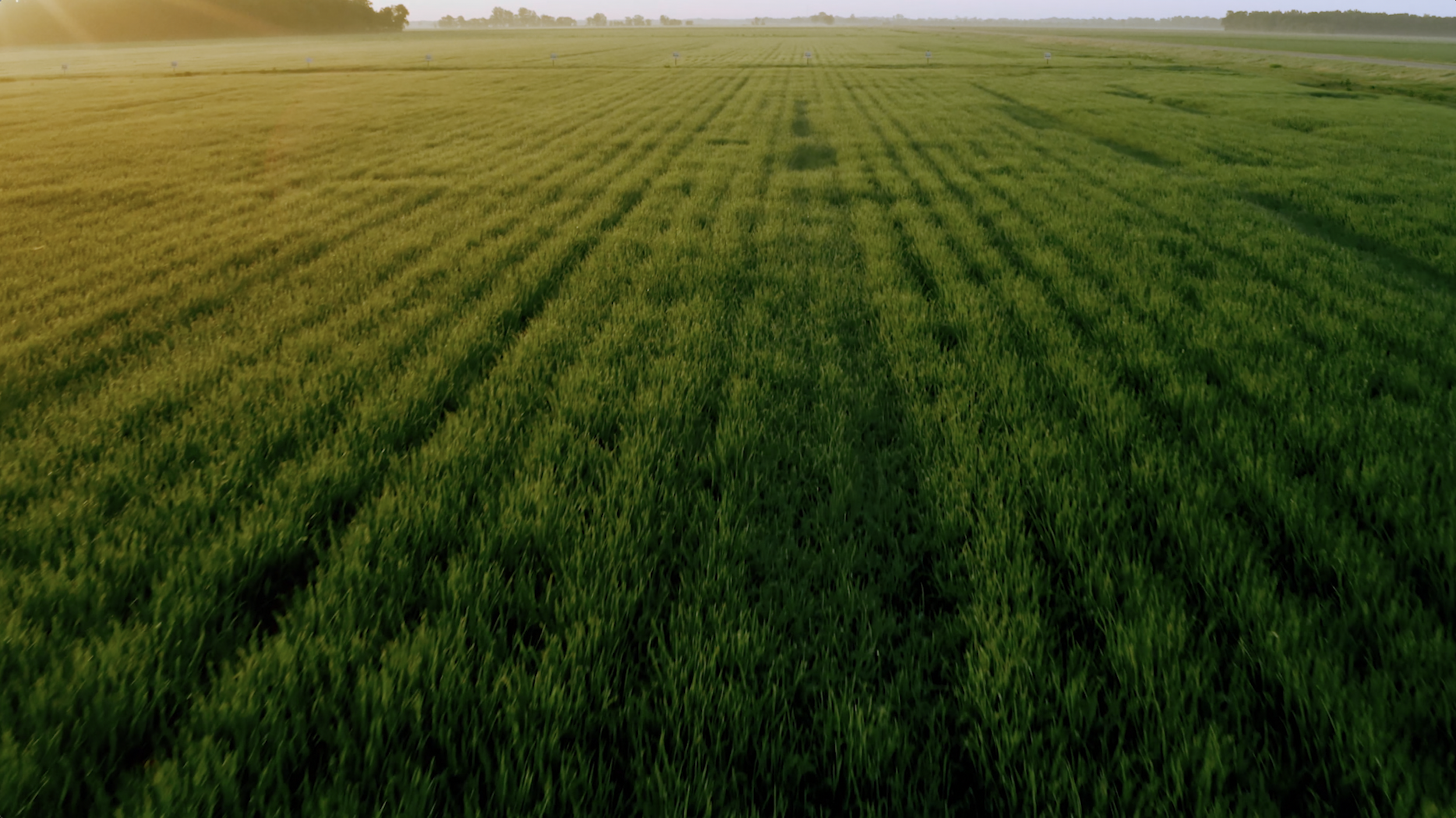 Screenshot 2025-09-24 at 10.48.27 AM.png