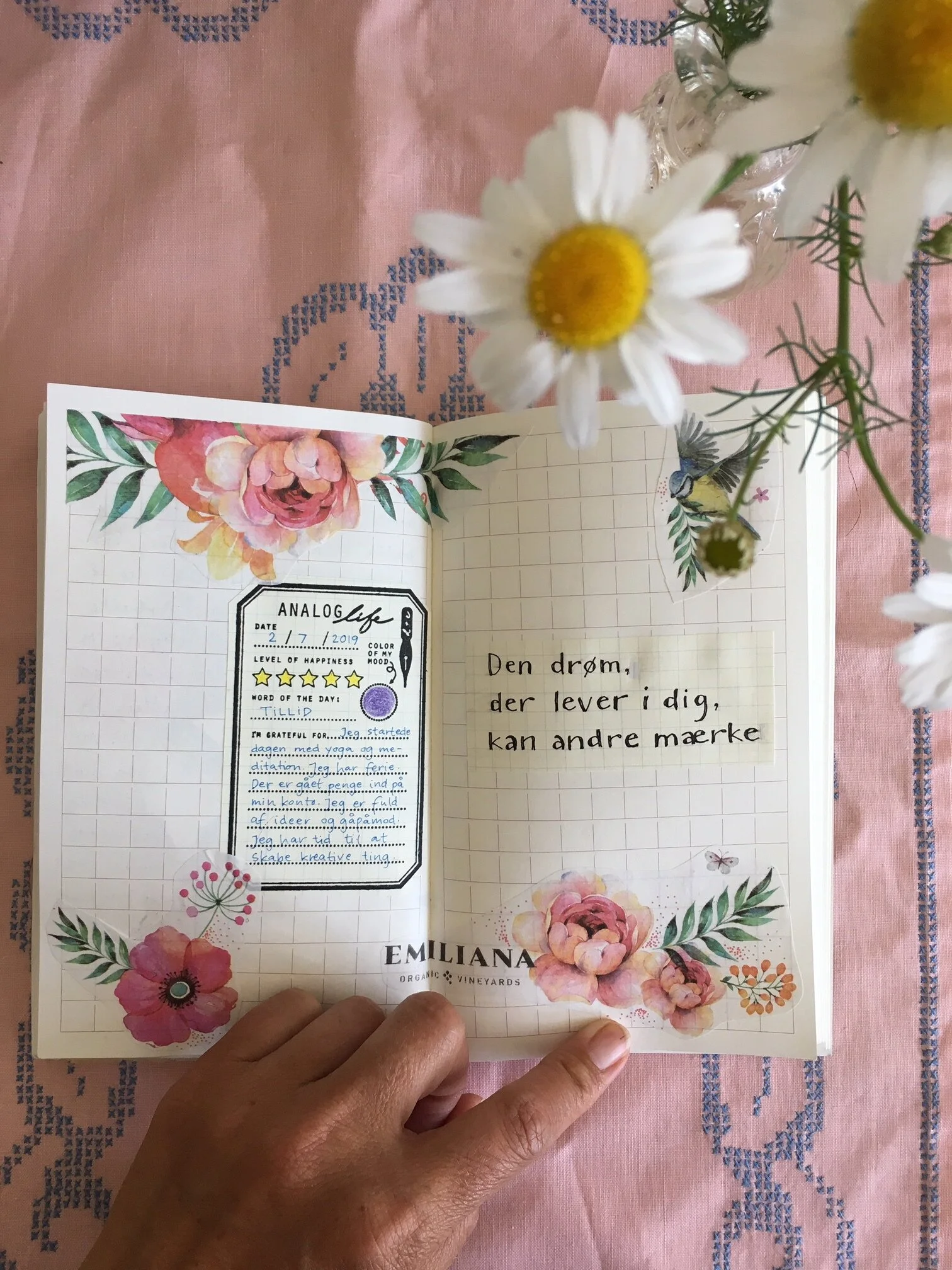 Hvad drømmer du om?