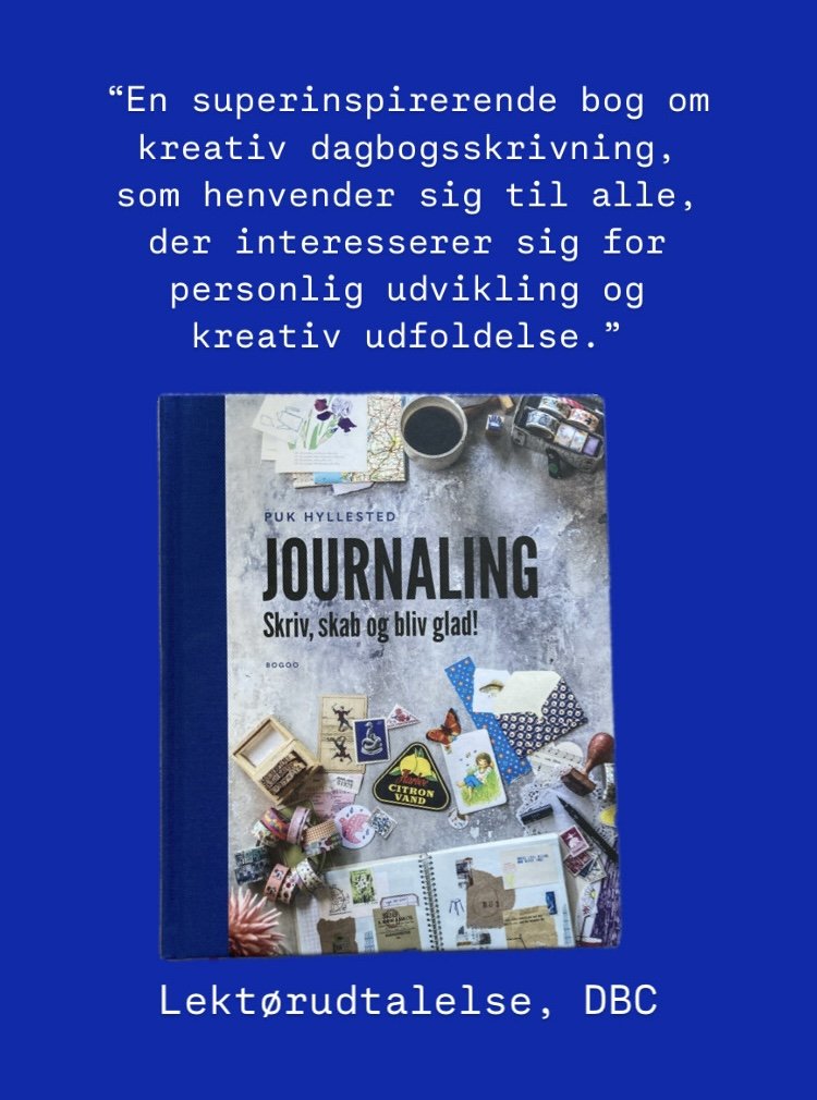 Journalingbogen har fået en flot lektørudtalelse fra Dansk BiblioteksCenter