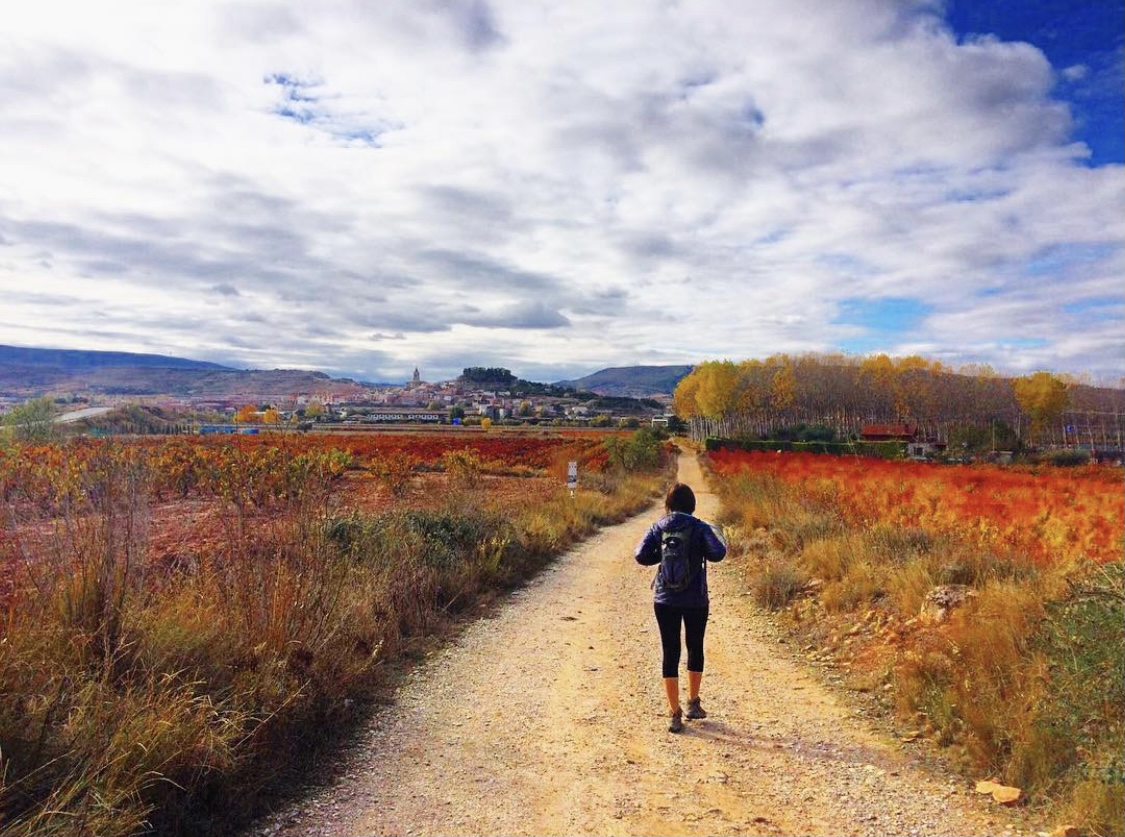 El Camino de Santiago, 2017