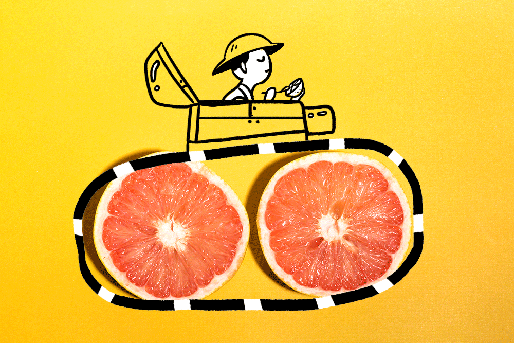 grapefruit-3d.gif