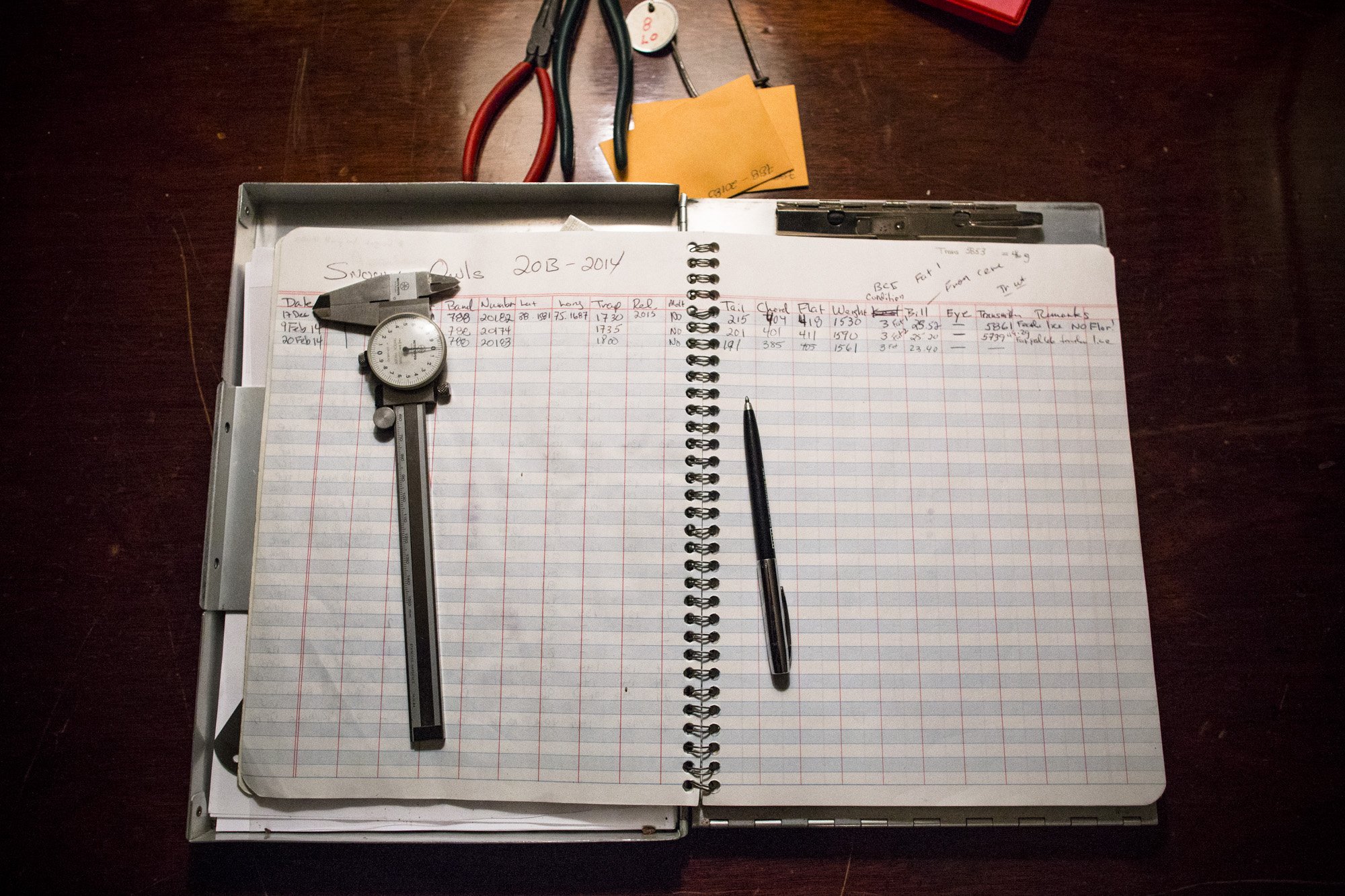 The research team's logbook keeps track of owl measurements.