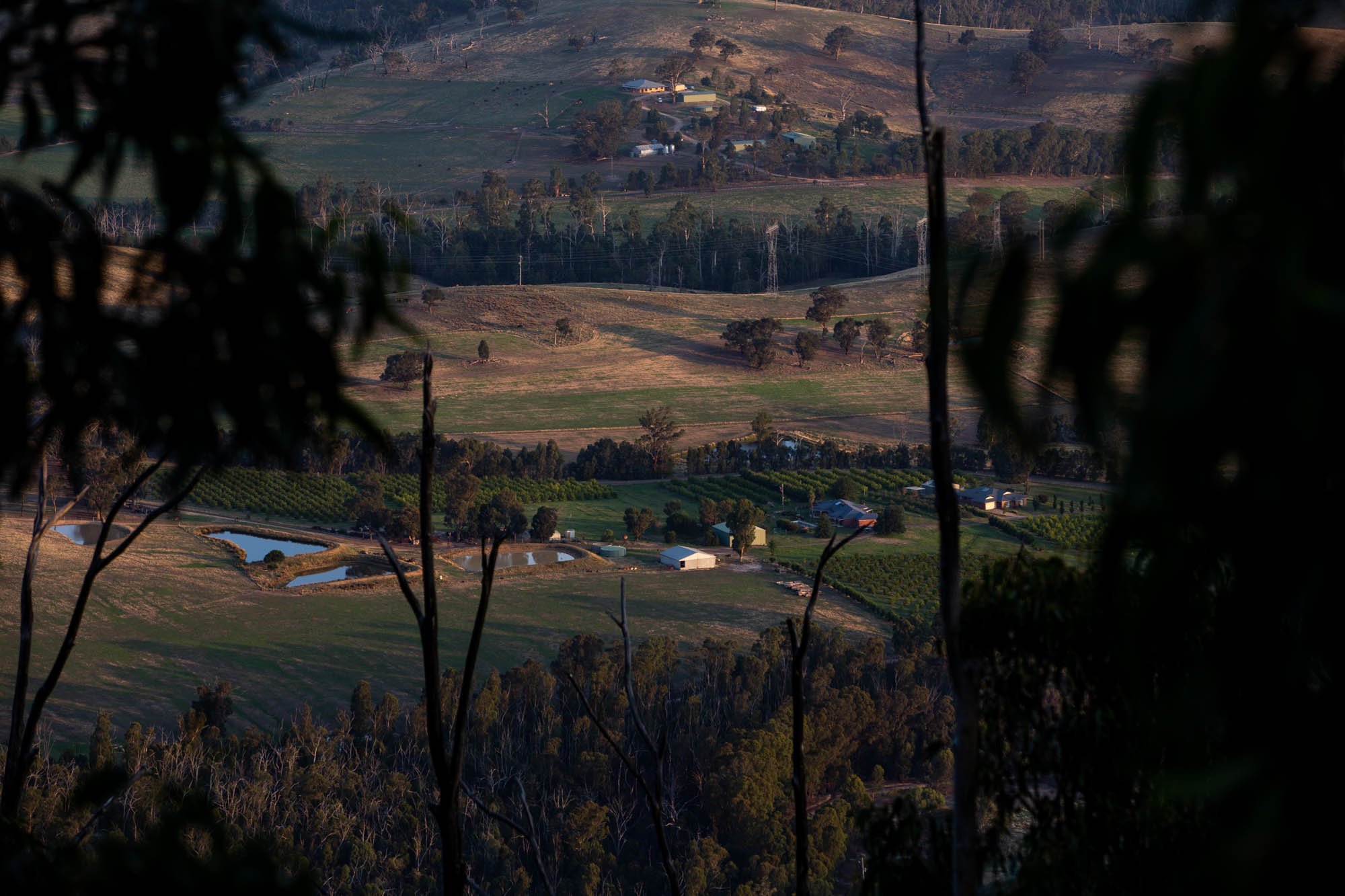 post-fire-australia-1.jpg
