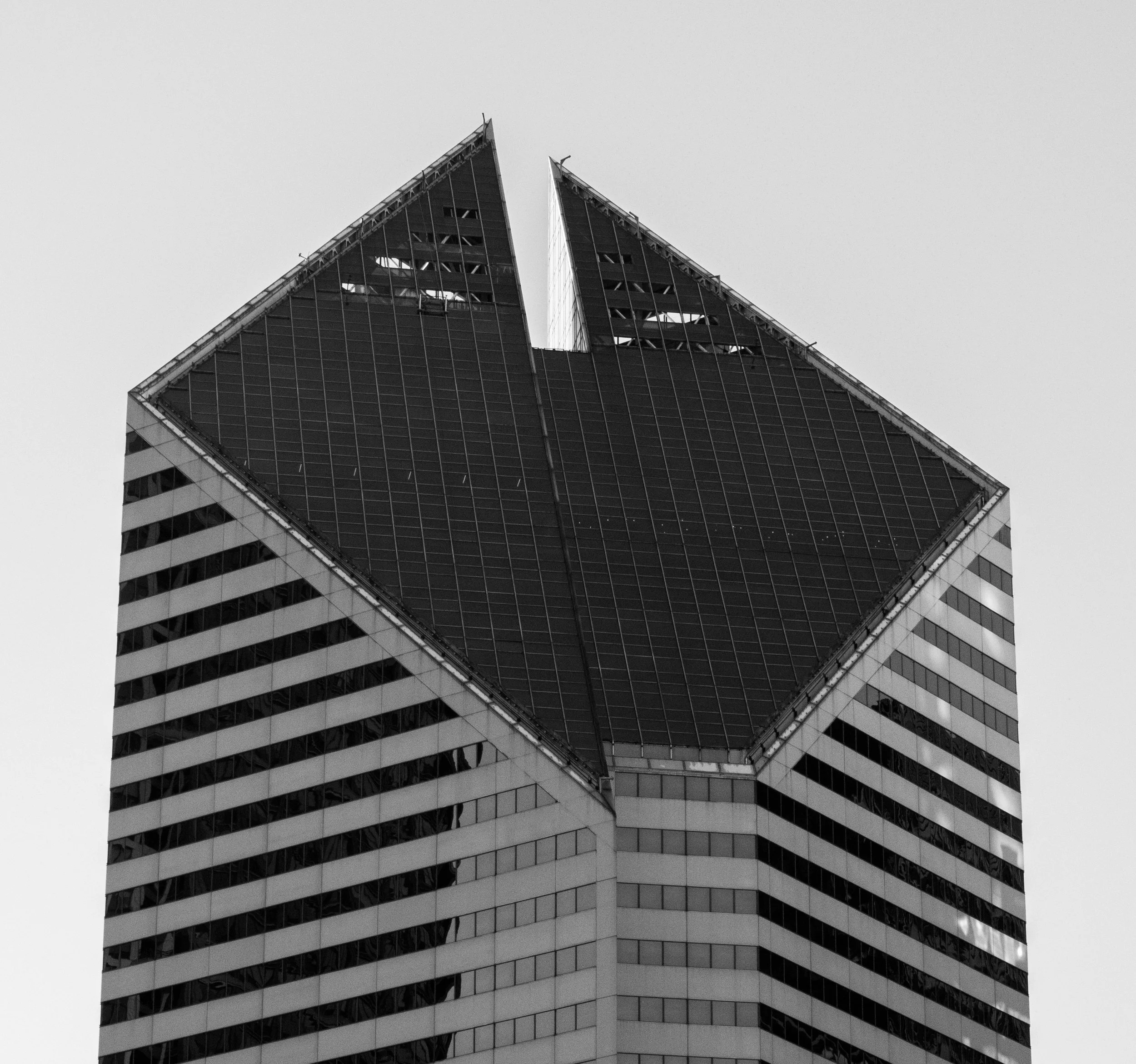 _1000524.jpg