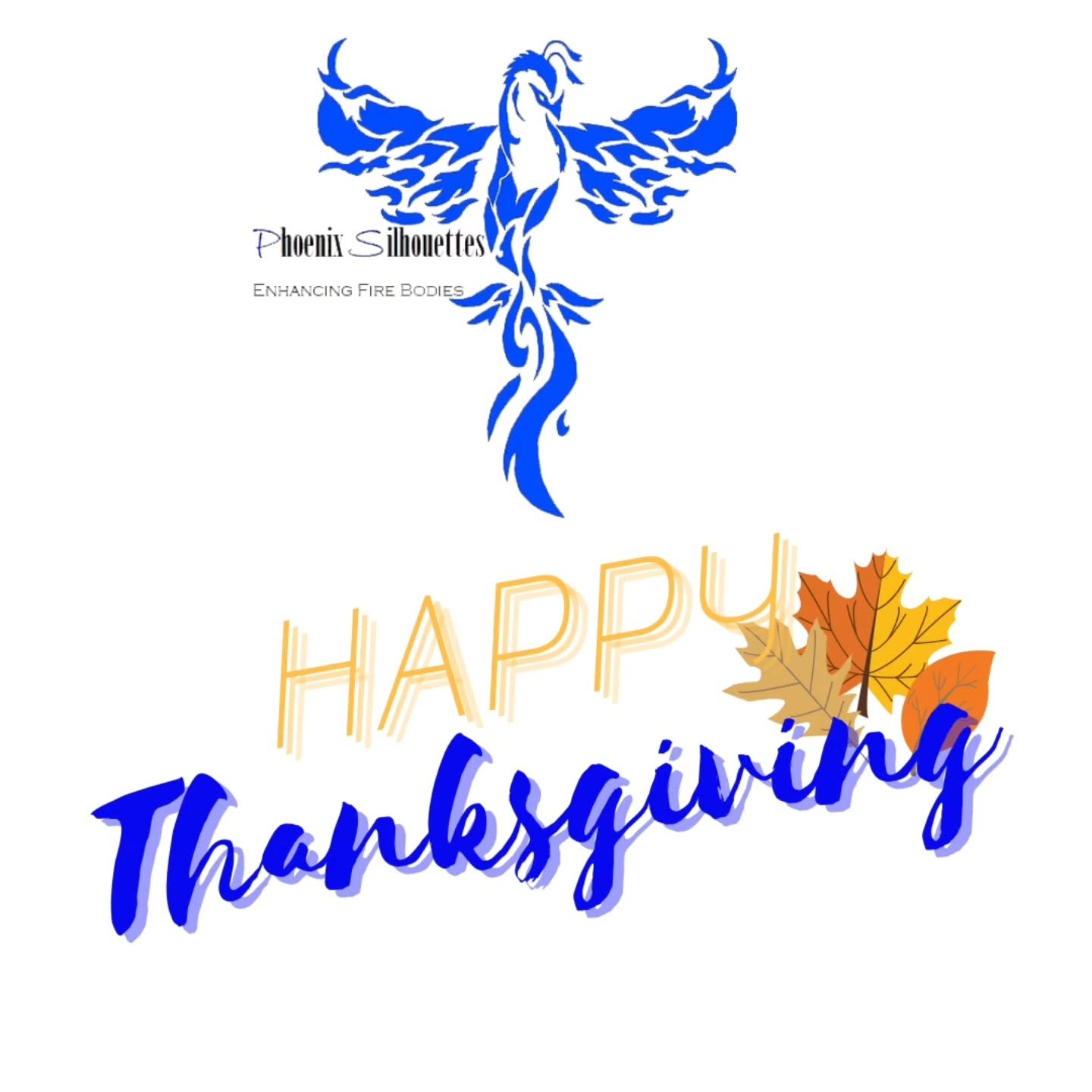 This Thanksgiving, I'm grateful for our AMAZING supporters. Thank you for making this year so special!!

#givethanks #thanksgiving
#gratitude #PhoenixSilhouettes #FireBodies