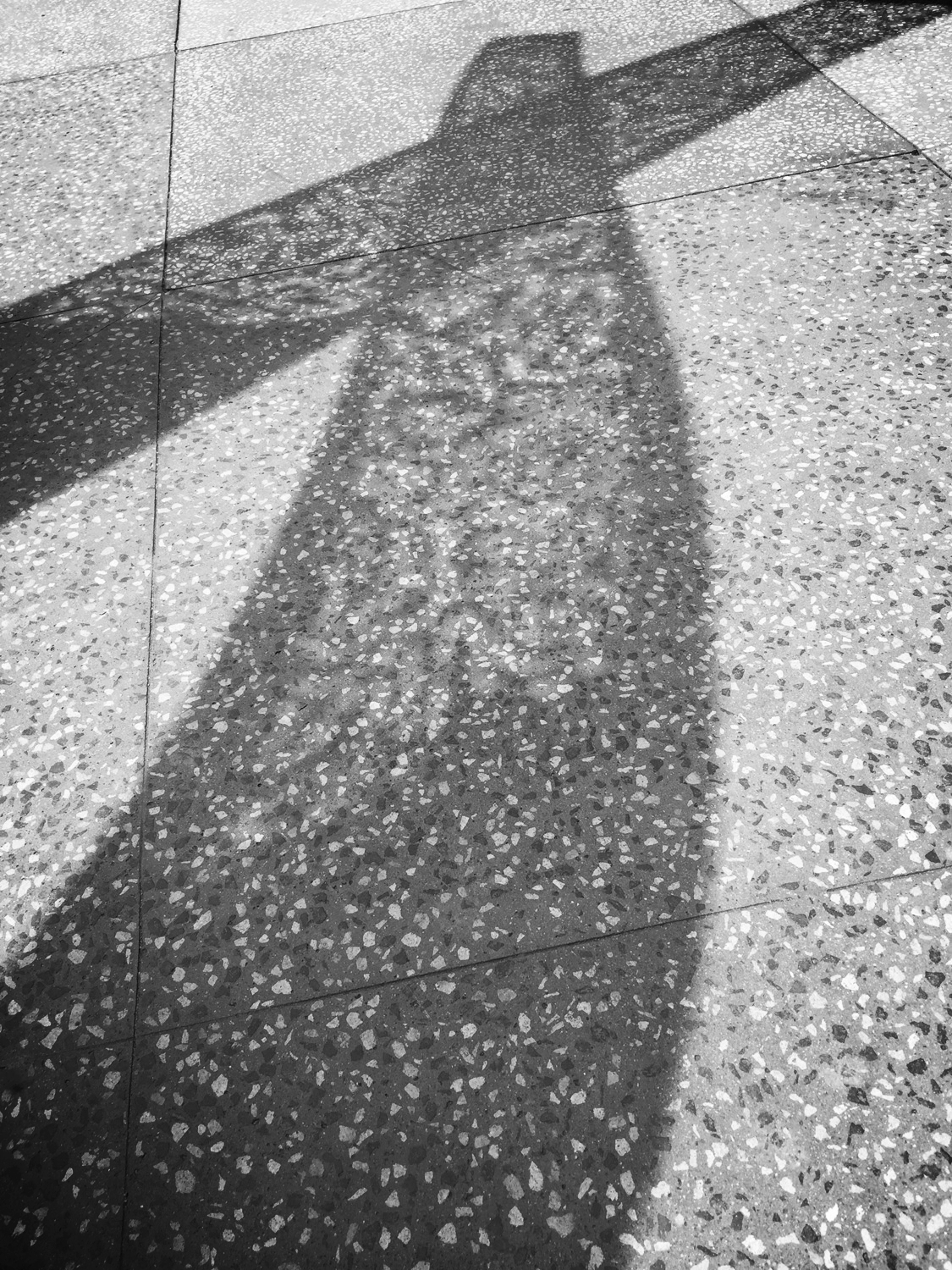 During daylight hours intricate light patterns are cast on the pathway and surrounding area. These ever-changing light and shadow patterns enhance the ambiance of the site and unite the sculpture with the park.