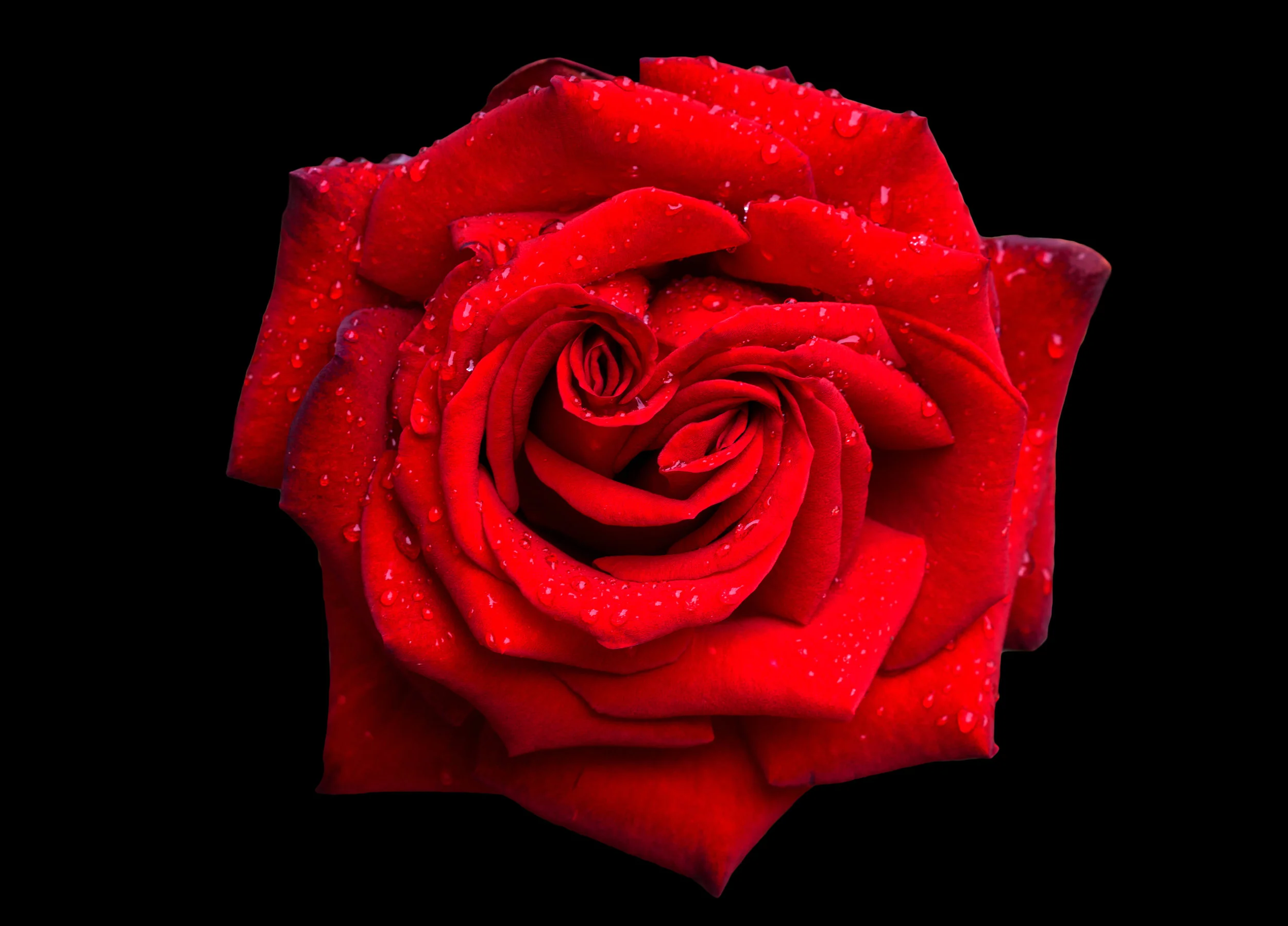 AdobeStock_109721655.jpeg
