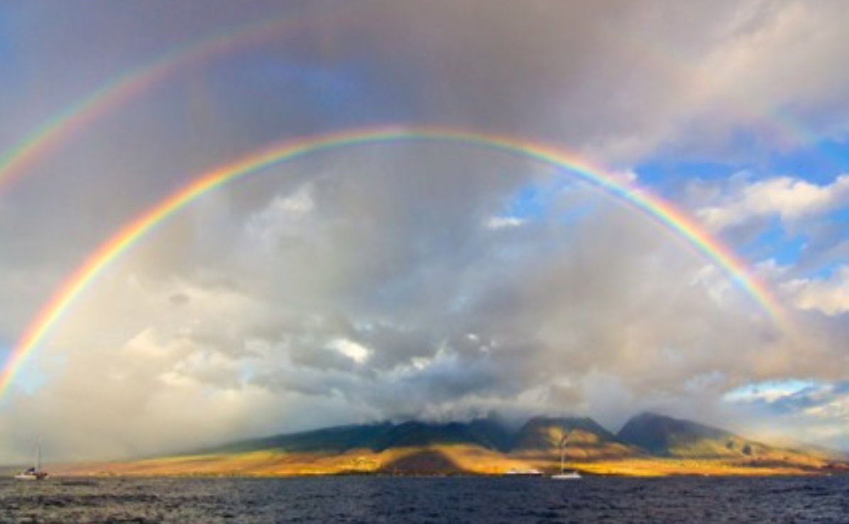 rainbow_hawaii_-_Google_Search.png